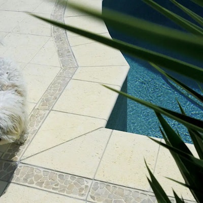 Ice Coral Pavers & Riverstone Border