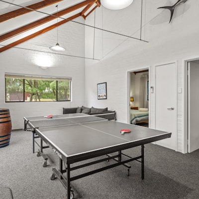 Table Tennis