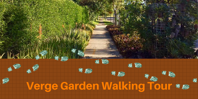 walk-tour-maylands.png