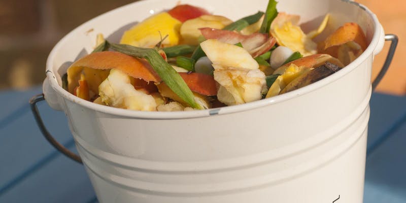 Bucket with food scraps