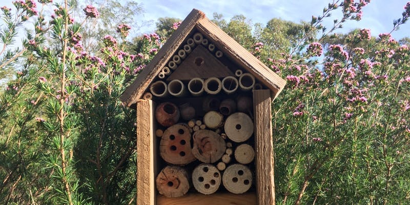 insect-hotel.jpg