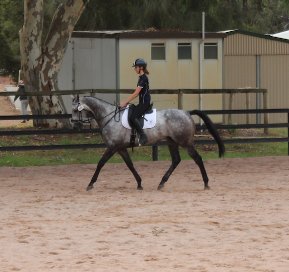 Jaime Baker warming up on her horse Imerandiel at the 2018 Interschool Championships