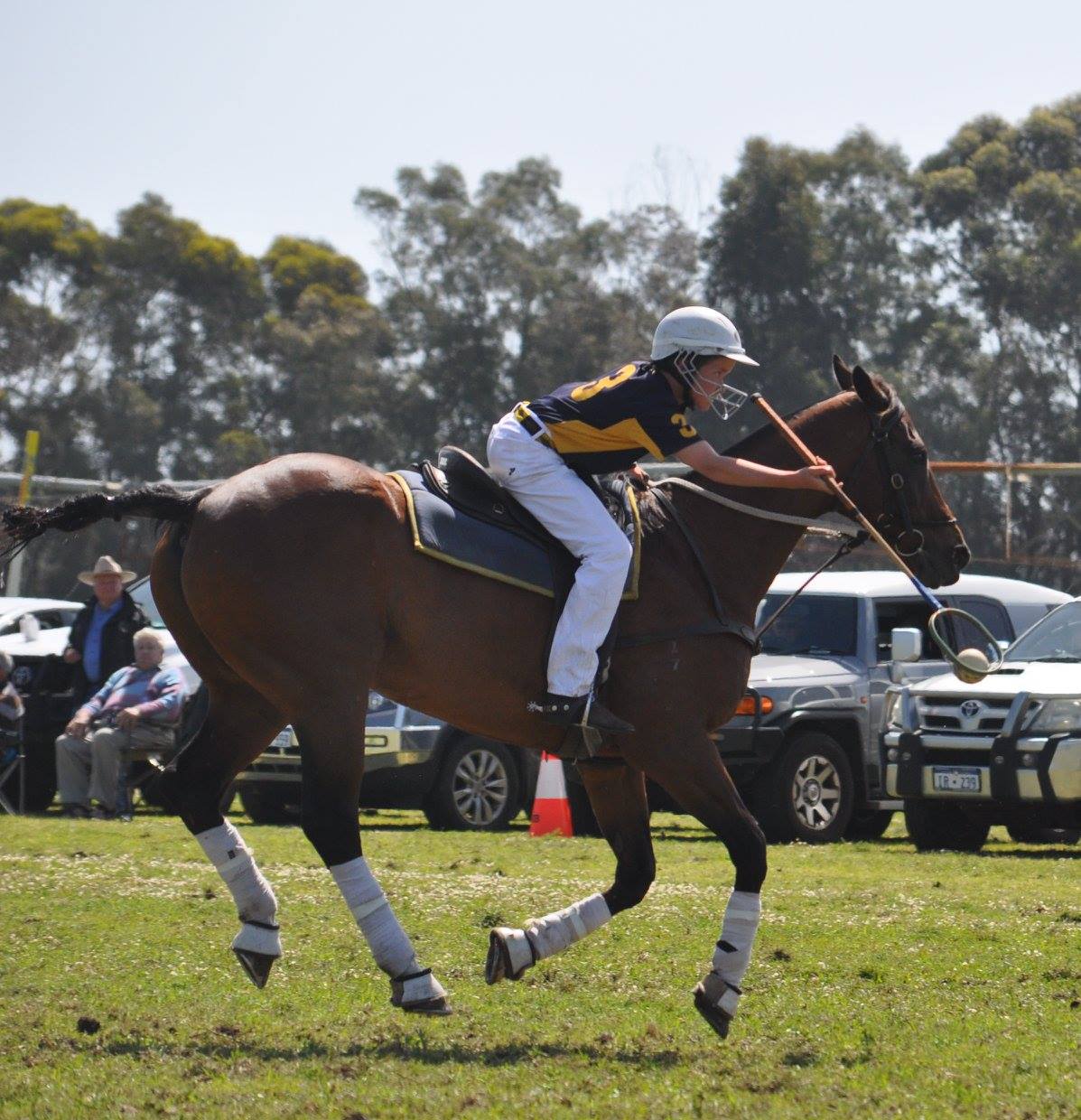 Seamus riding 'Spider'