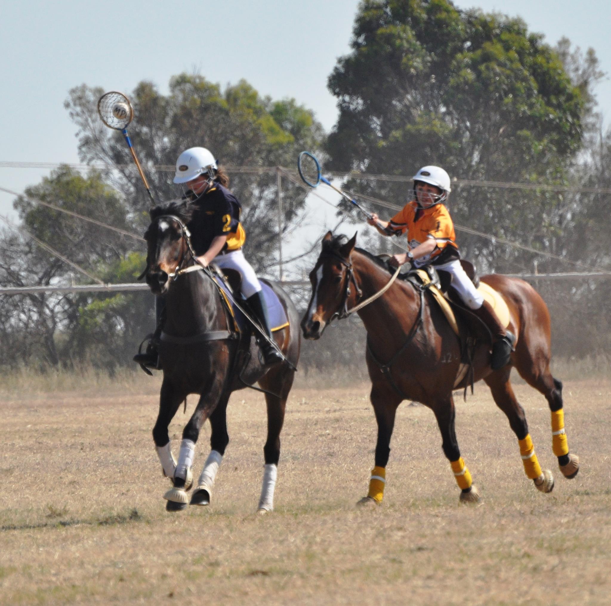 Tess riding 'Starburst'