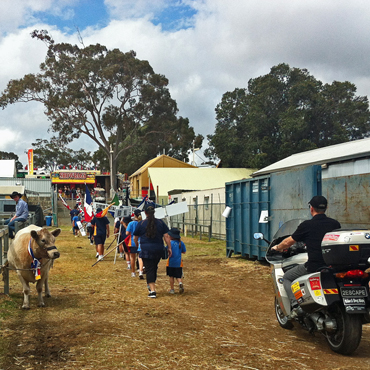 Steve Andrews rides out to the arena for the Grand Parade