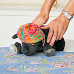 Winston's Wag of Approval for Cairns Raffle Donations