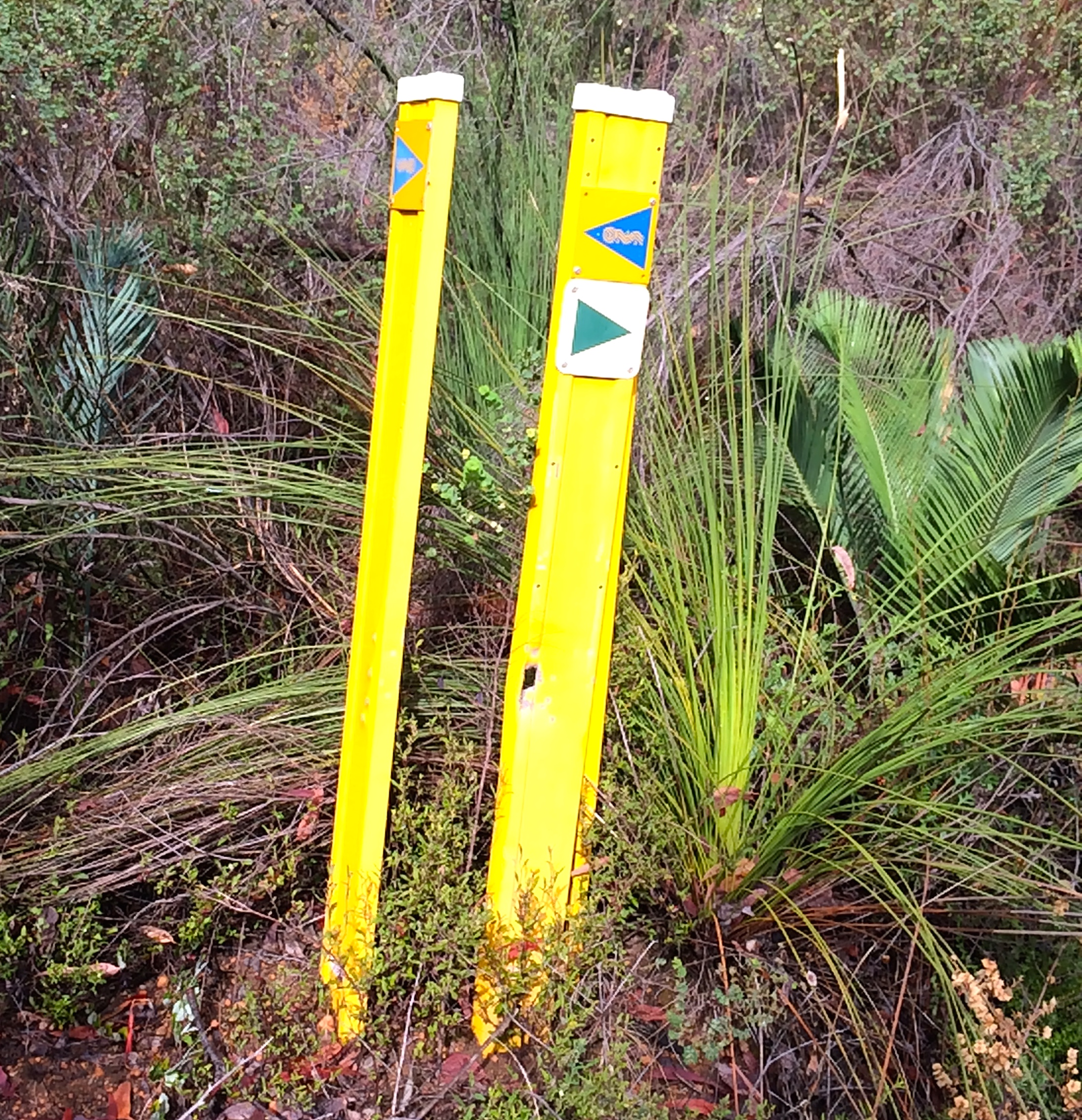 Carinyah Circuit & Munda Biddi markers