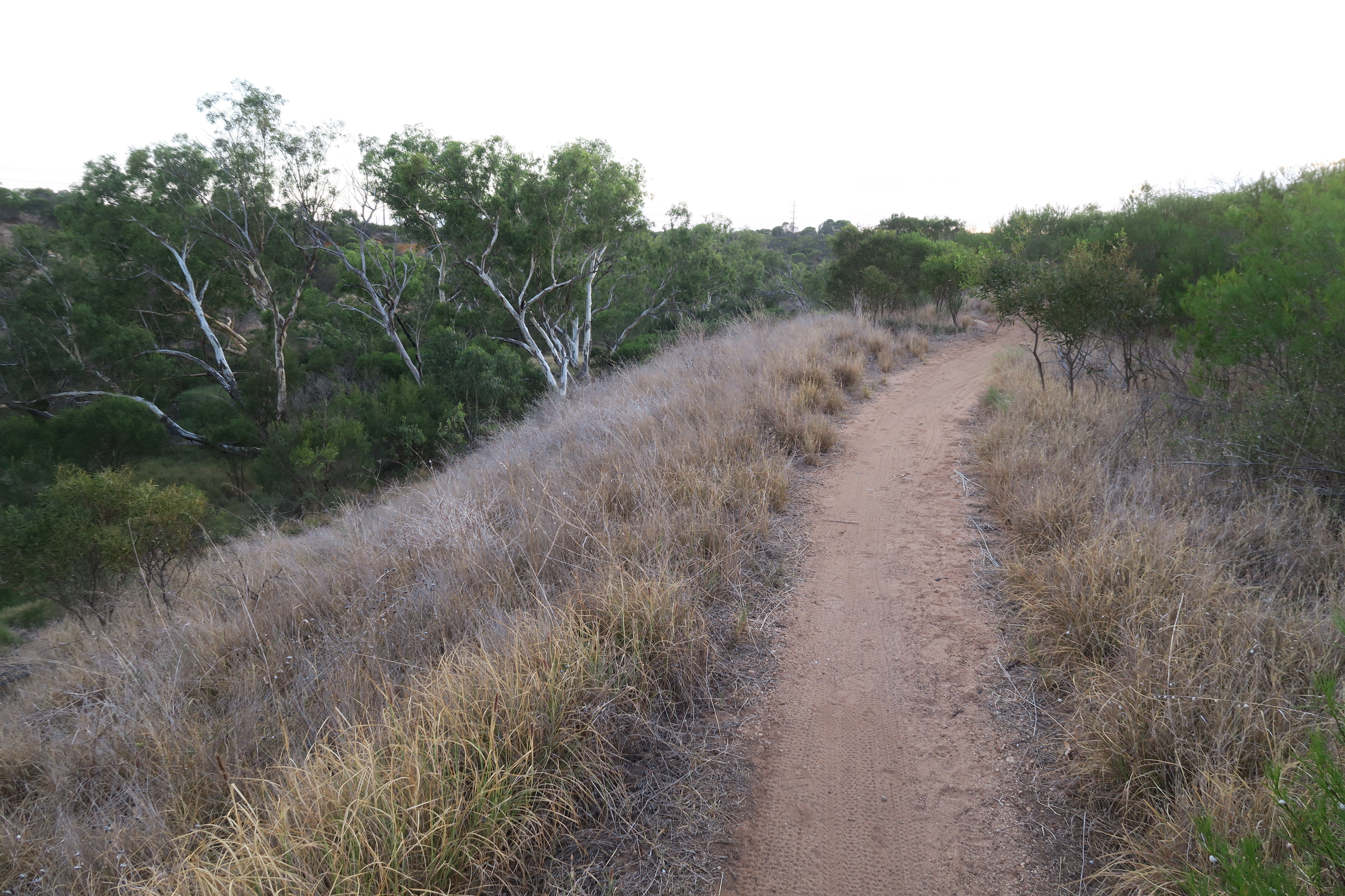 An easy part of the ride