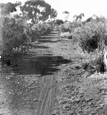 Camel/bicycle pad, Kalgoorlie 1930's