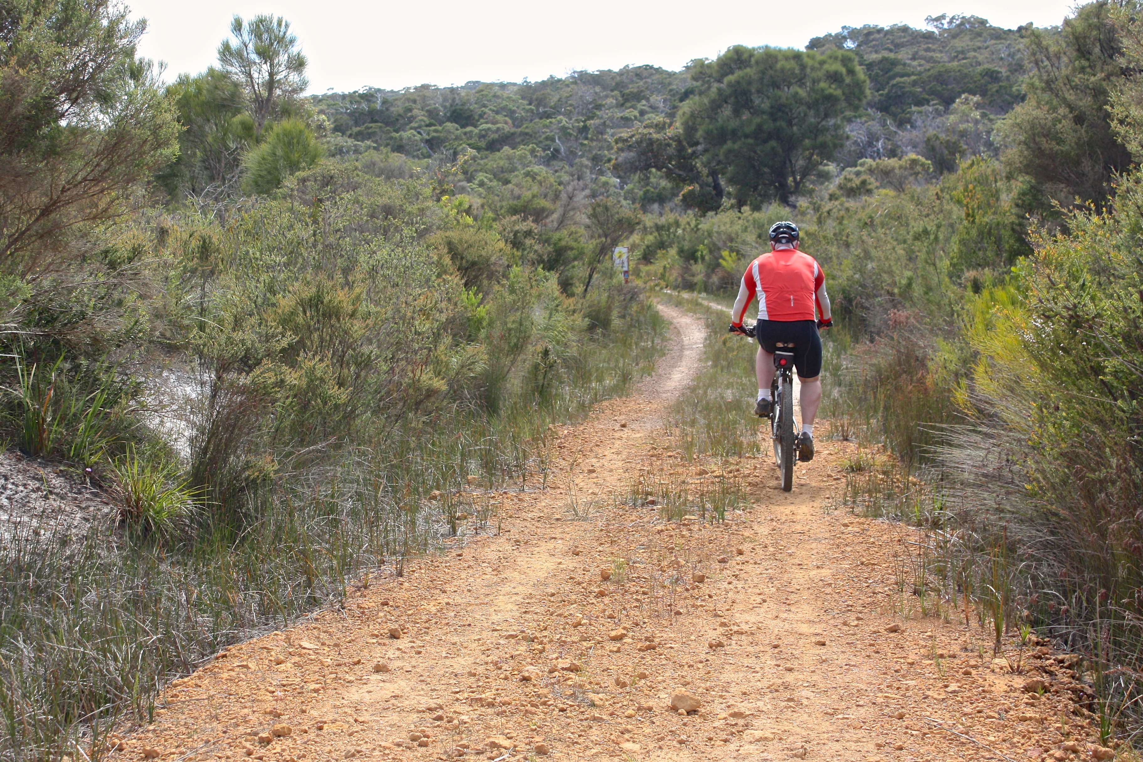 The start of the trail at the end of Station St