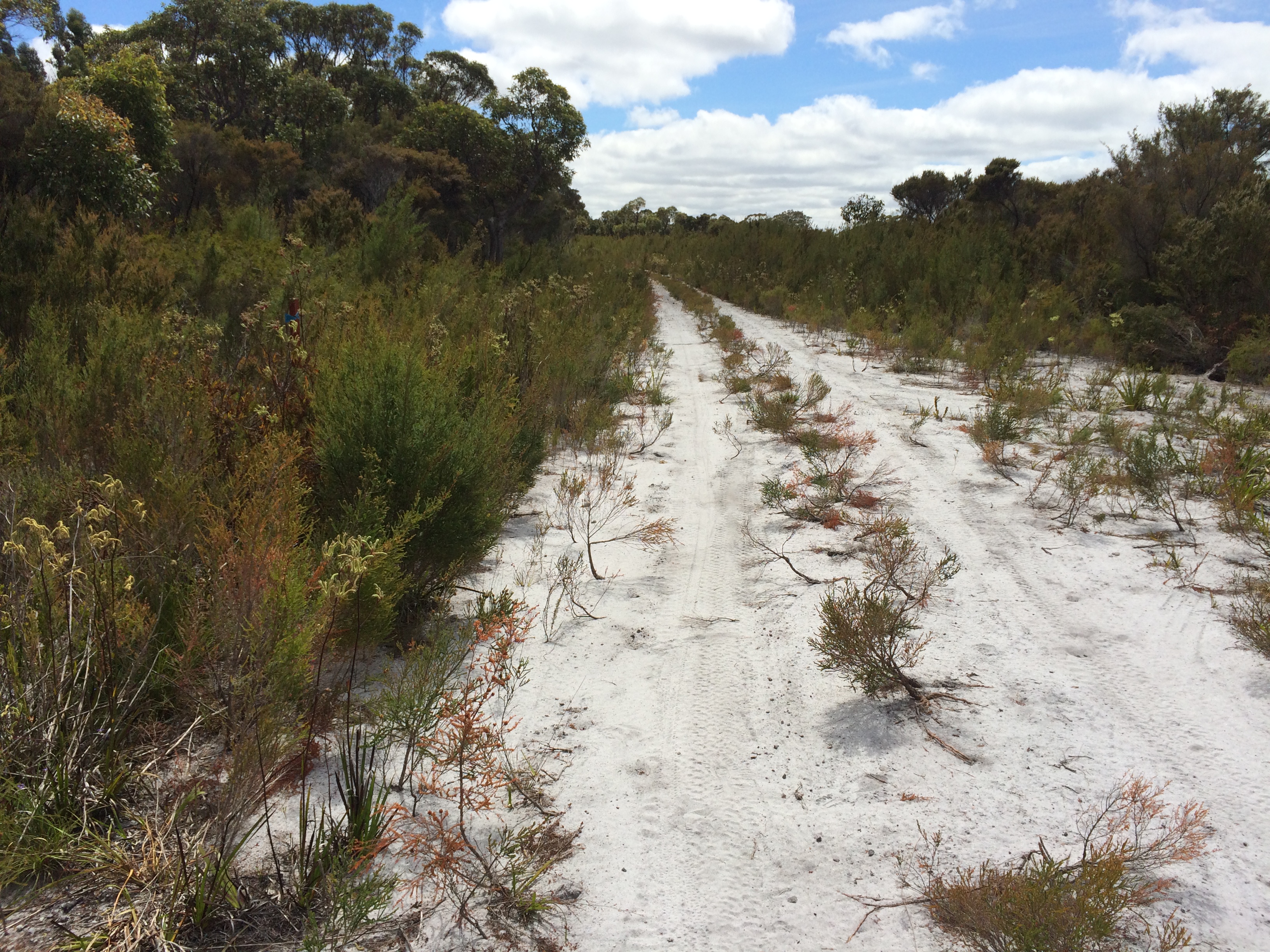 Sandy section near Station St
