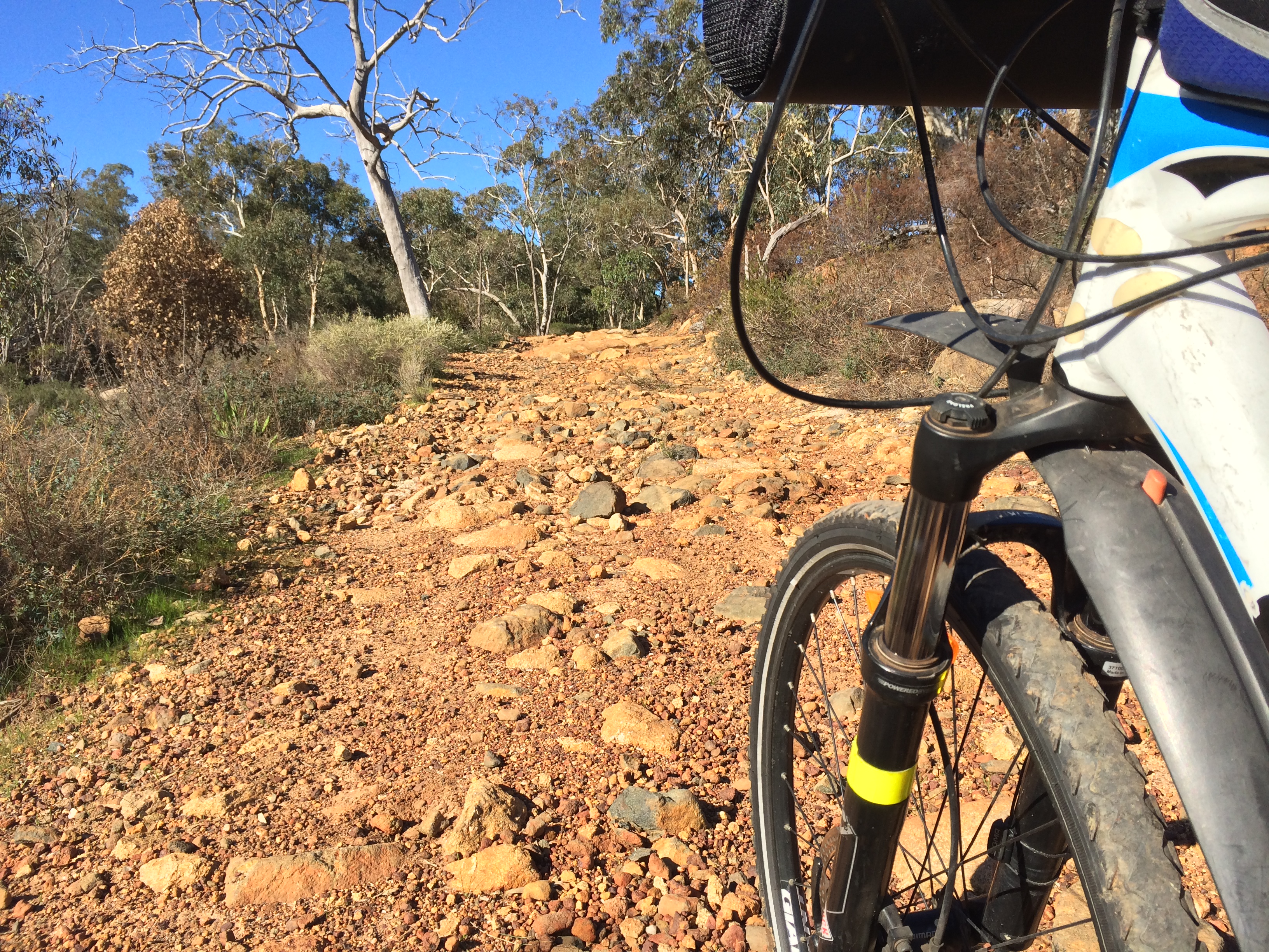 Rough section on Mason and Bird Trail