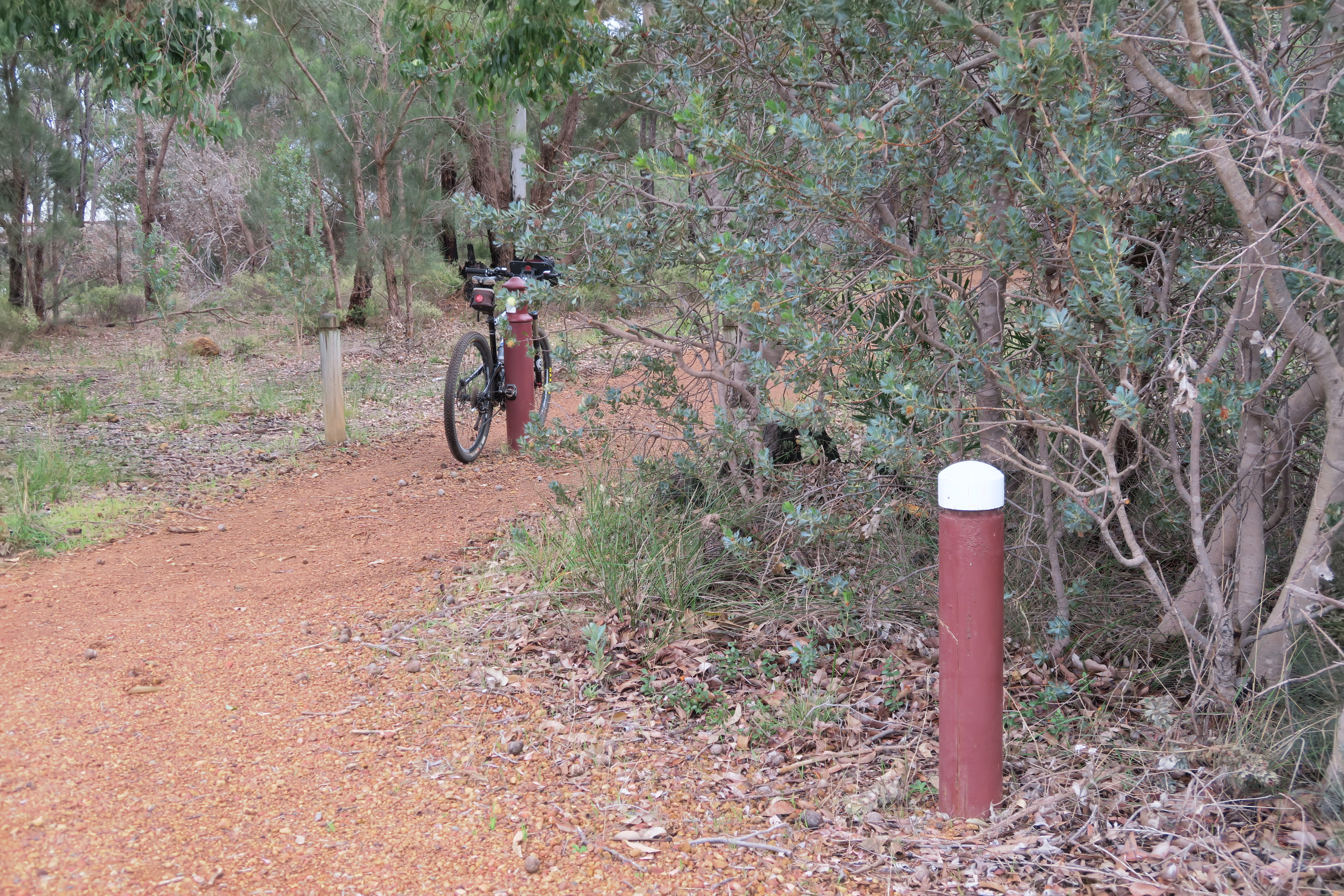 White topped marker posts