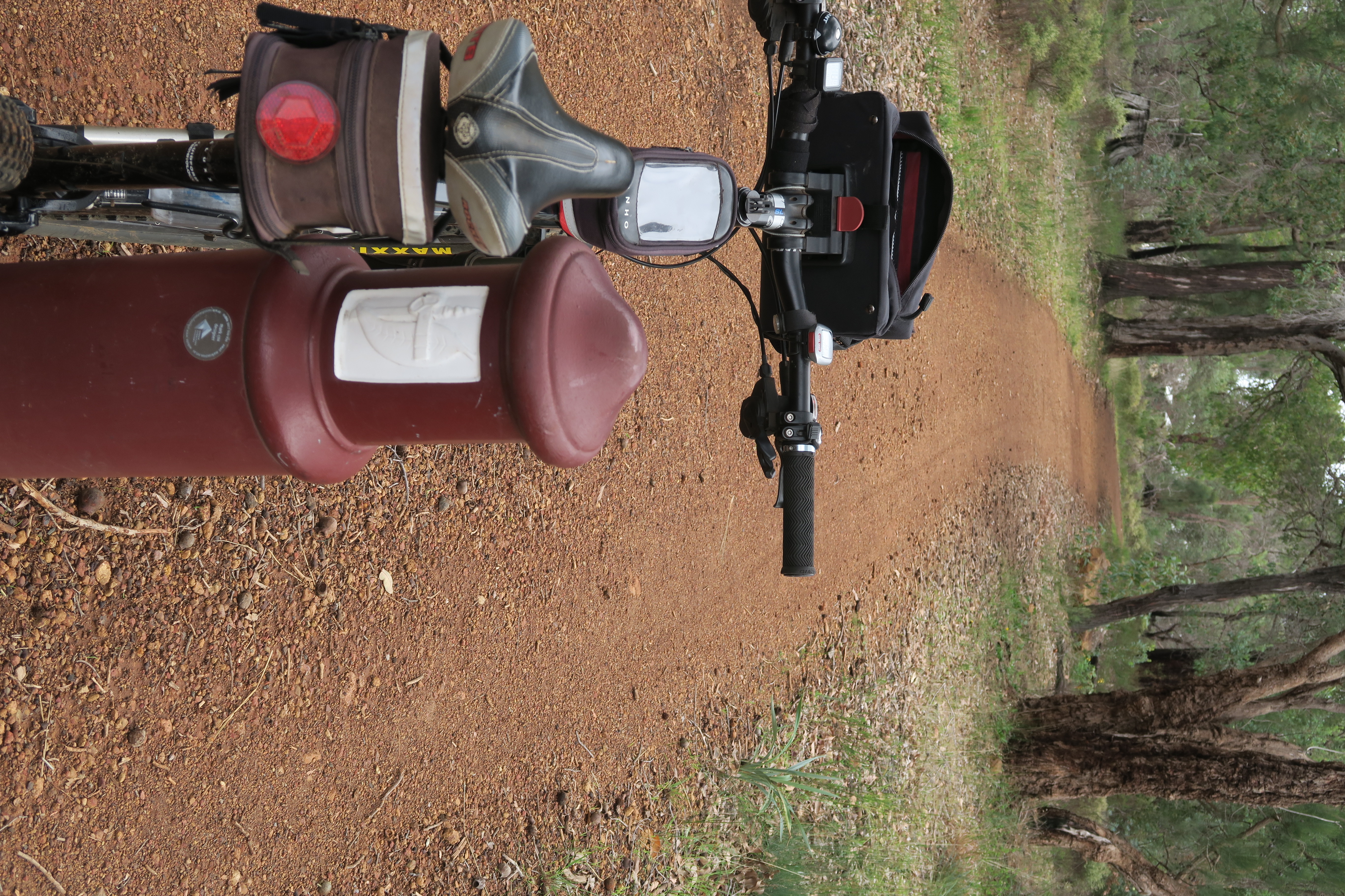 This is what the trail looks like