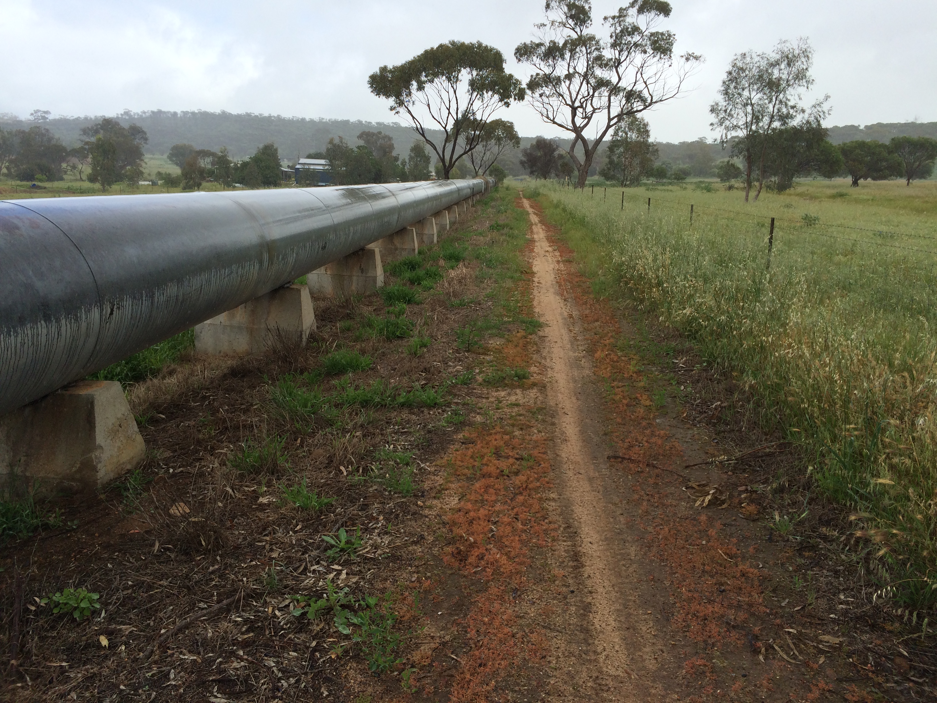 Pipeline and trail near Northam
