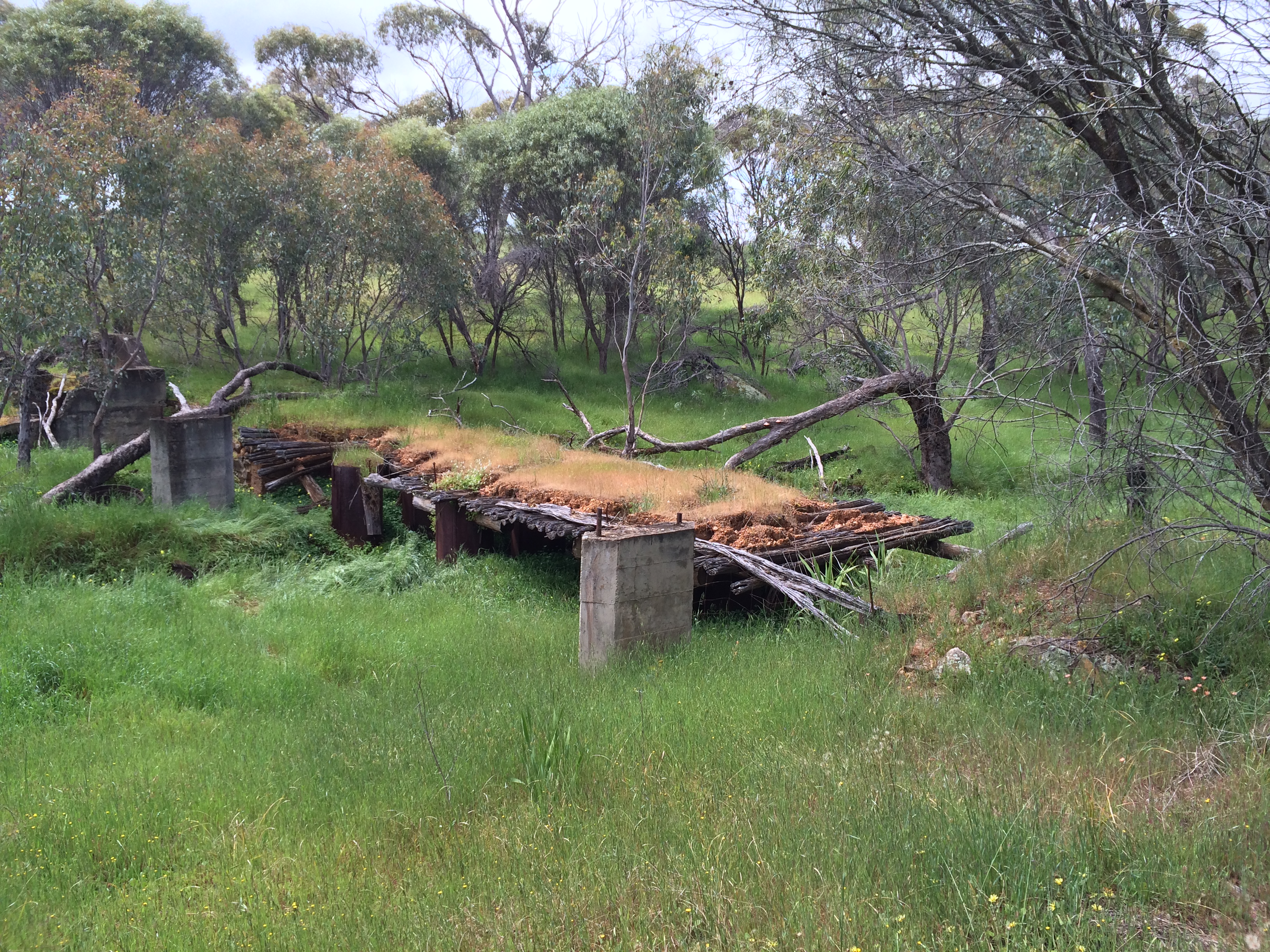 Old bridge near Clackline