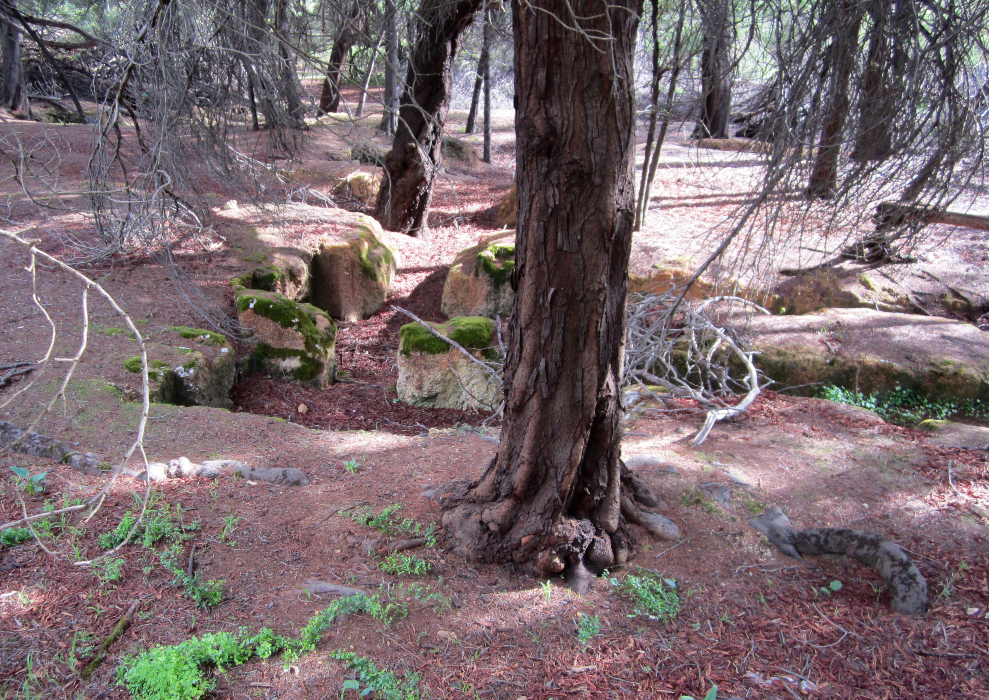 Whittakers Mill foundations