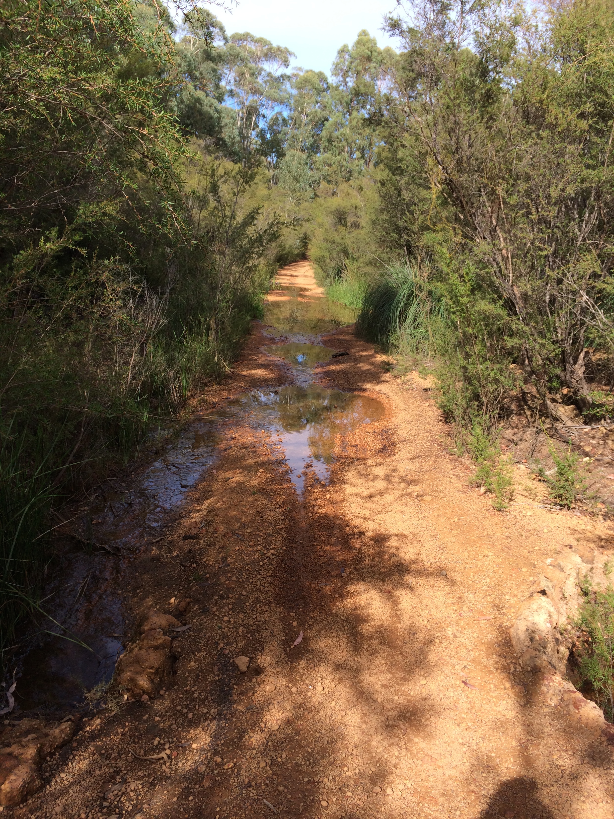 Karnet Brook Crossing