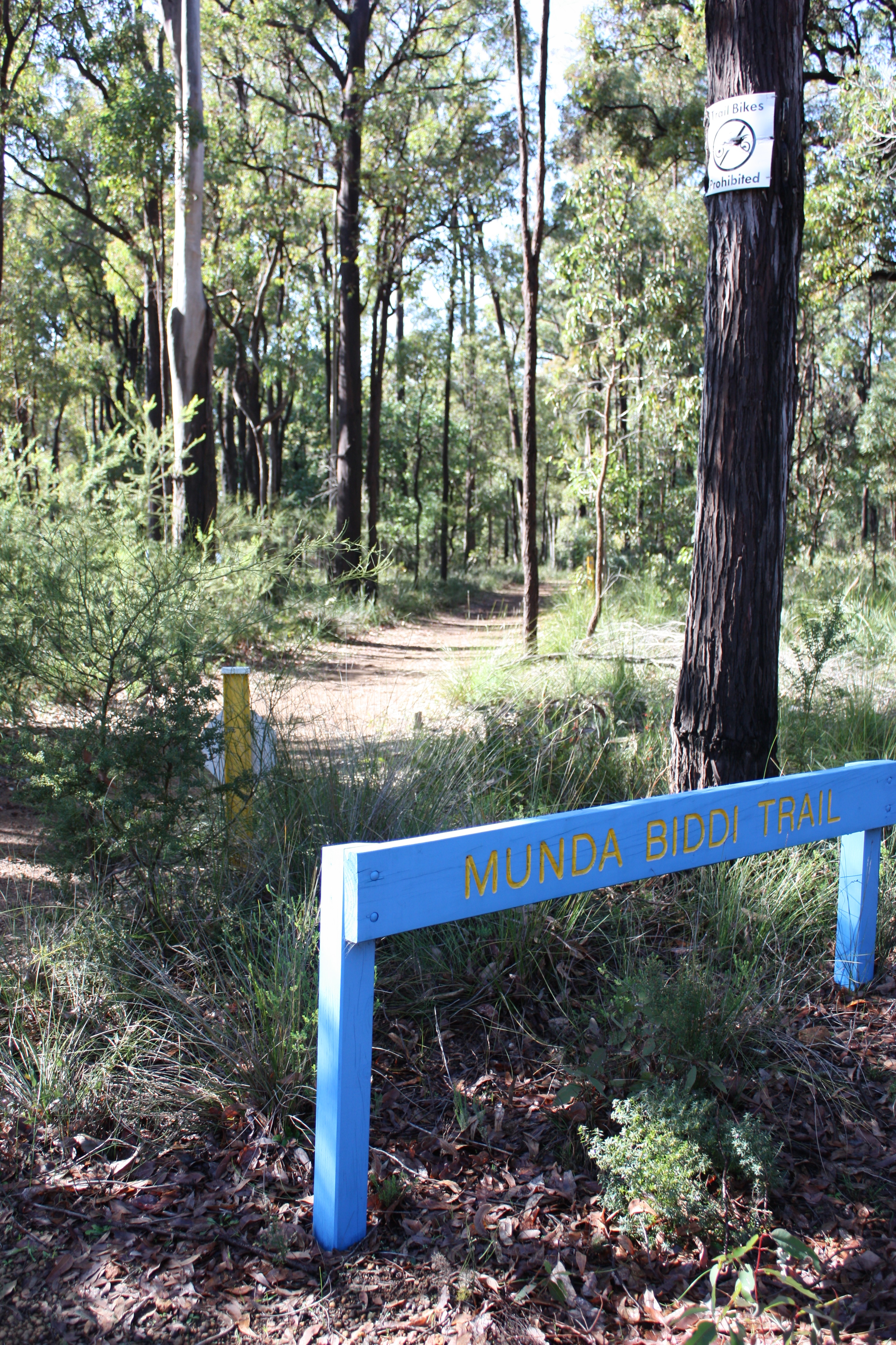 Trail near Jarrahdale