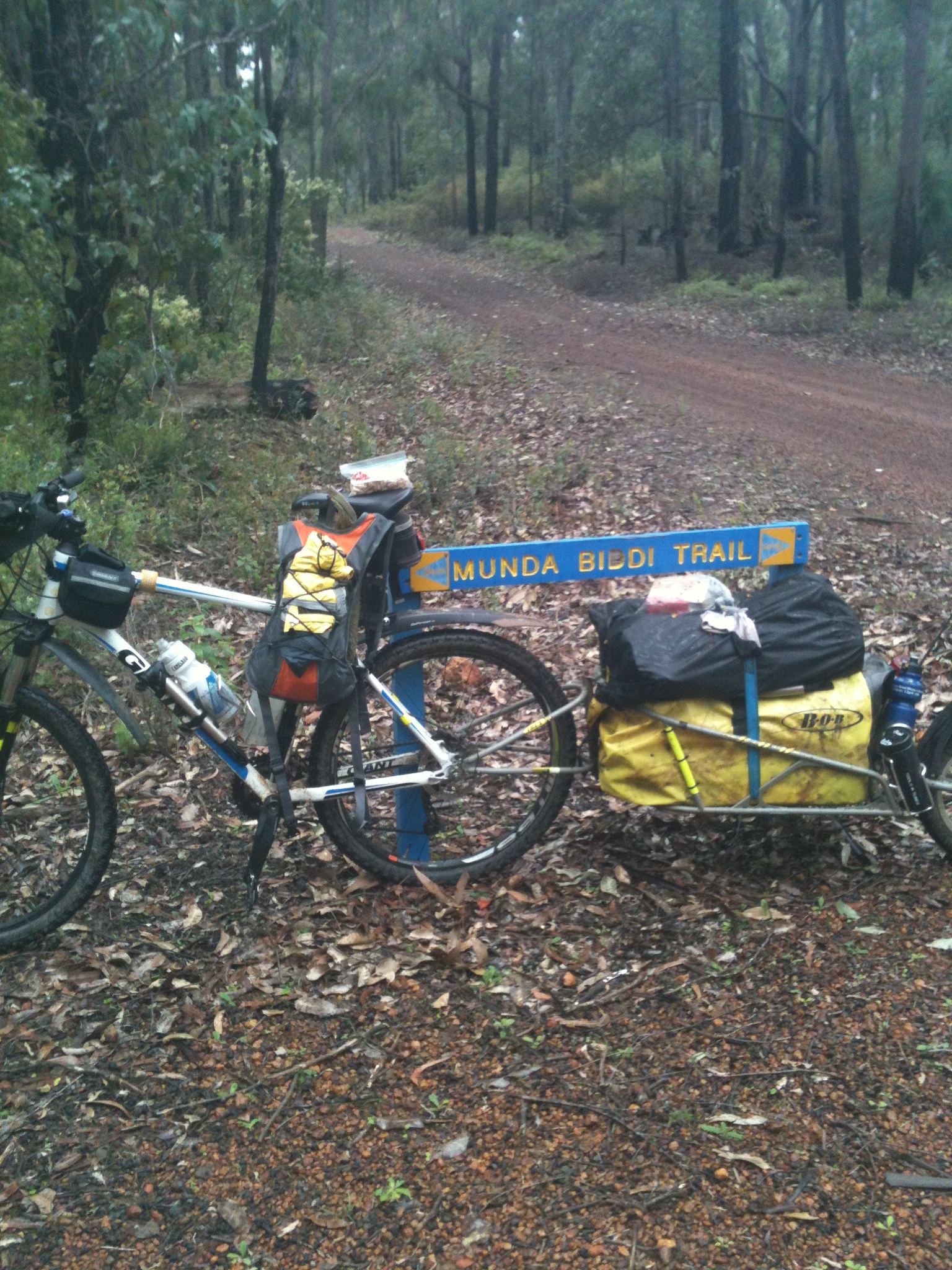 Between Yarri hut & Logue Brook Dam