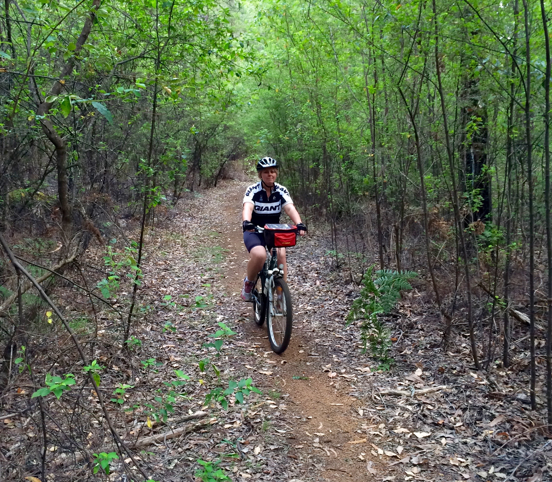 Old form near Myles Ave