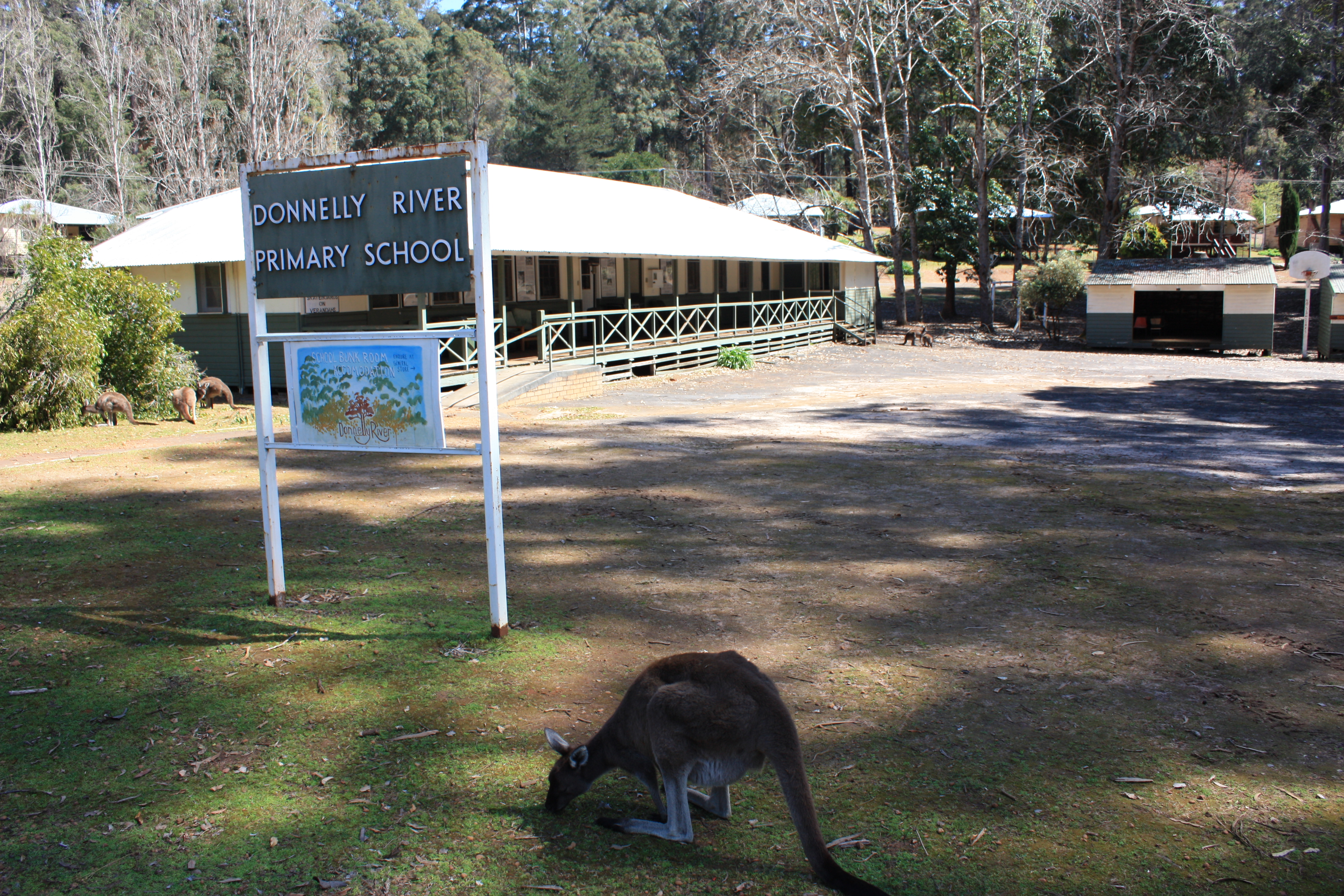 Donnelly Mill School - bunk accomadation & shelter behind