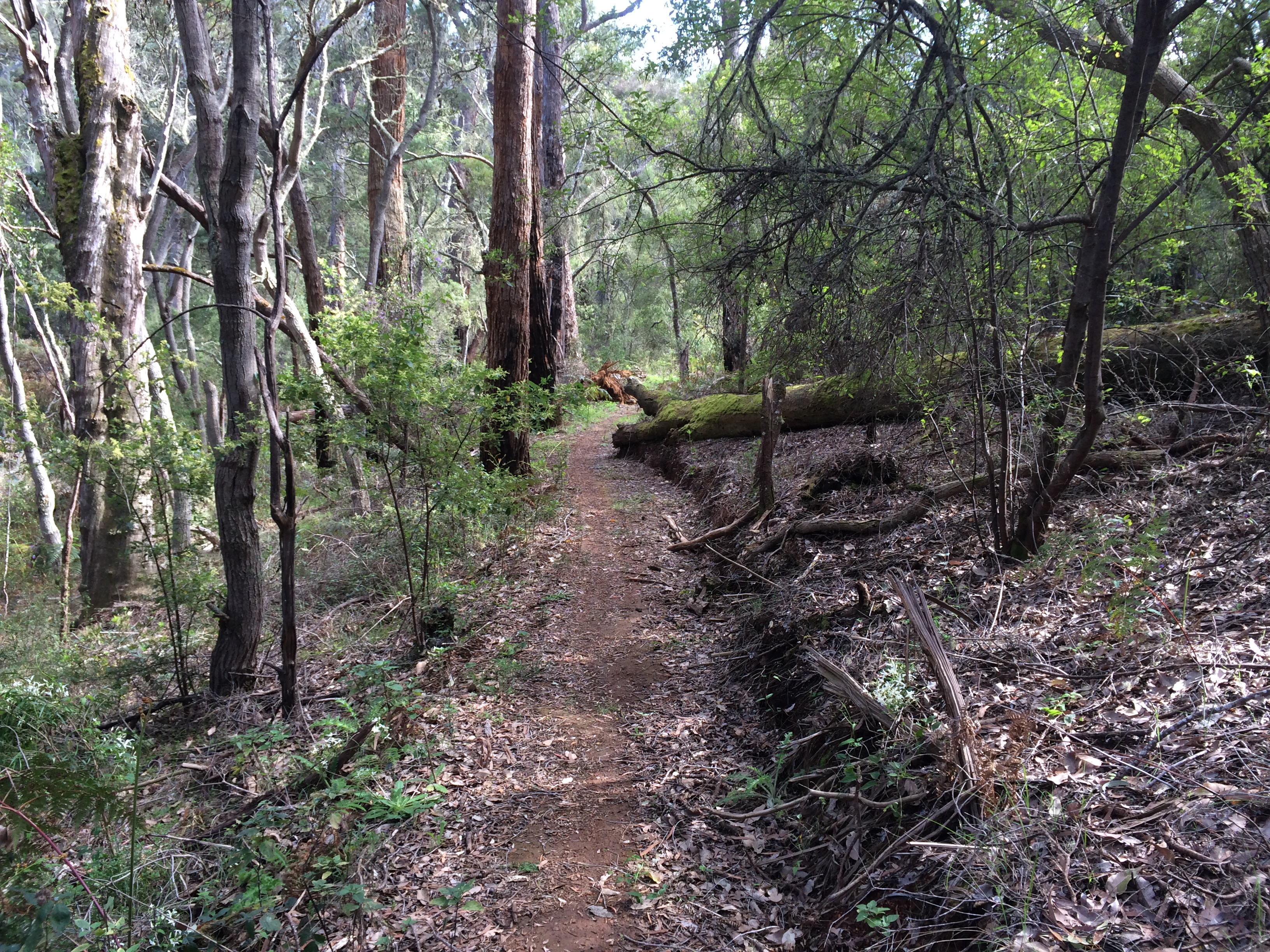 Form next to Warren River