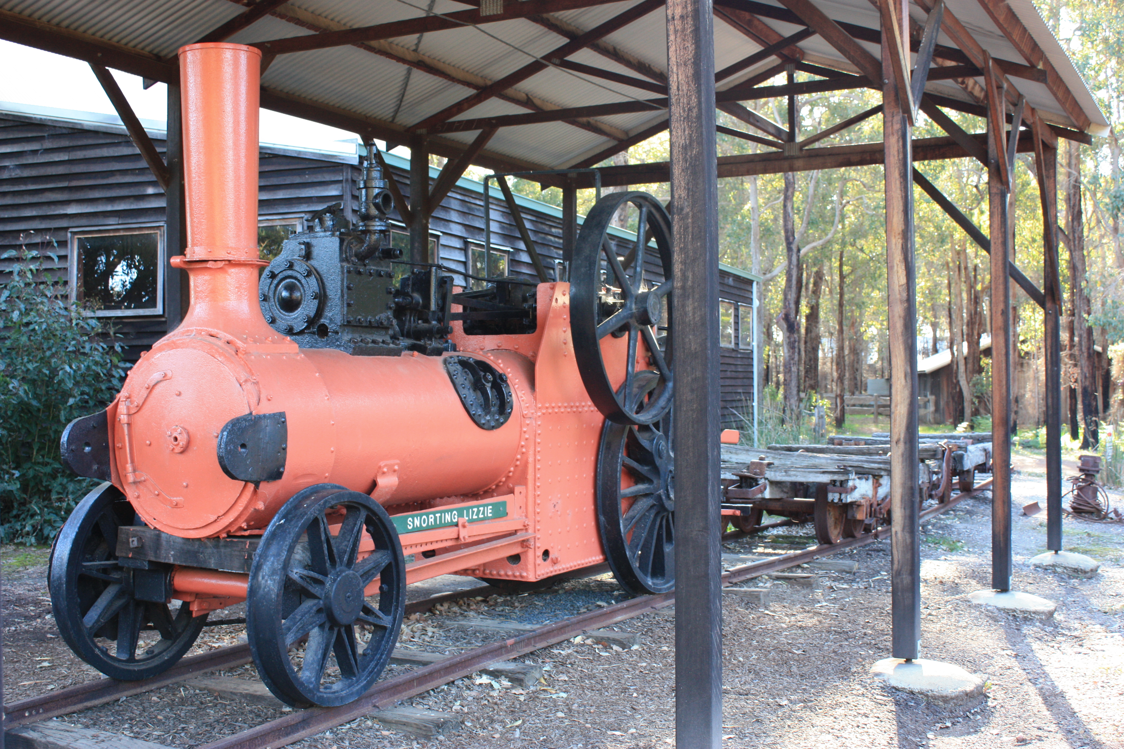 Manjimup Timber Park - Snorting Liz