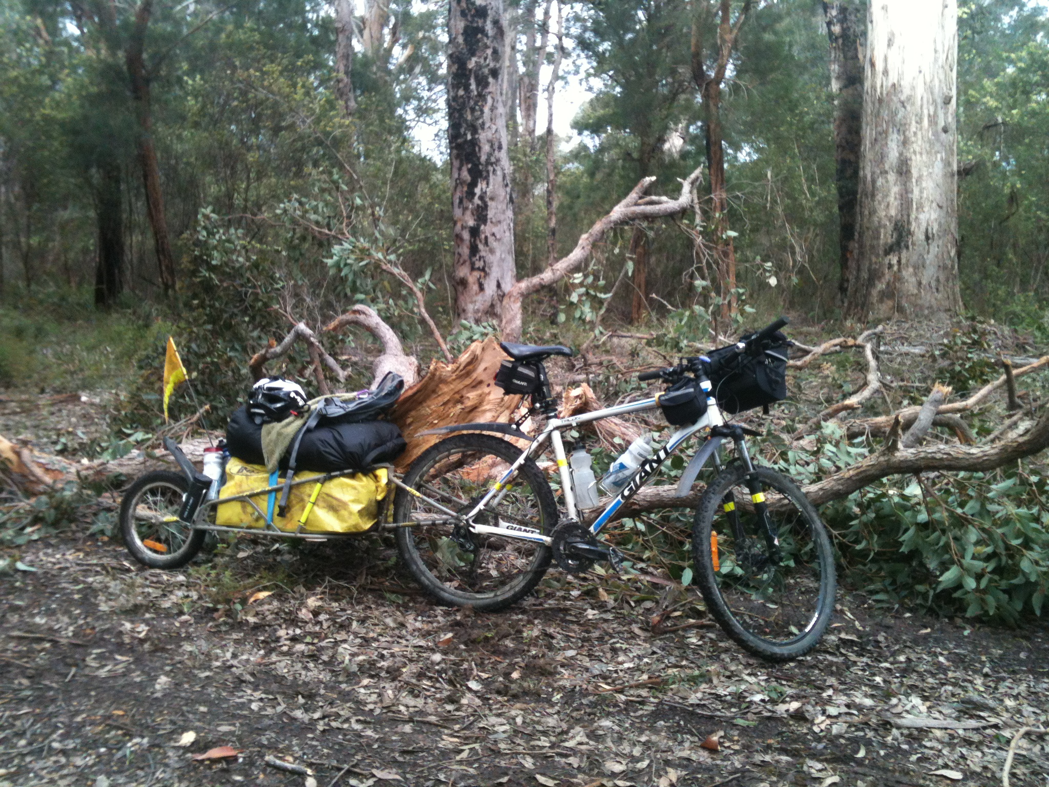 Obstacles on the way