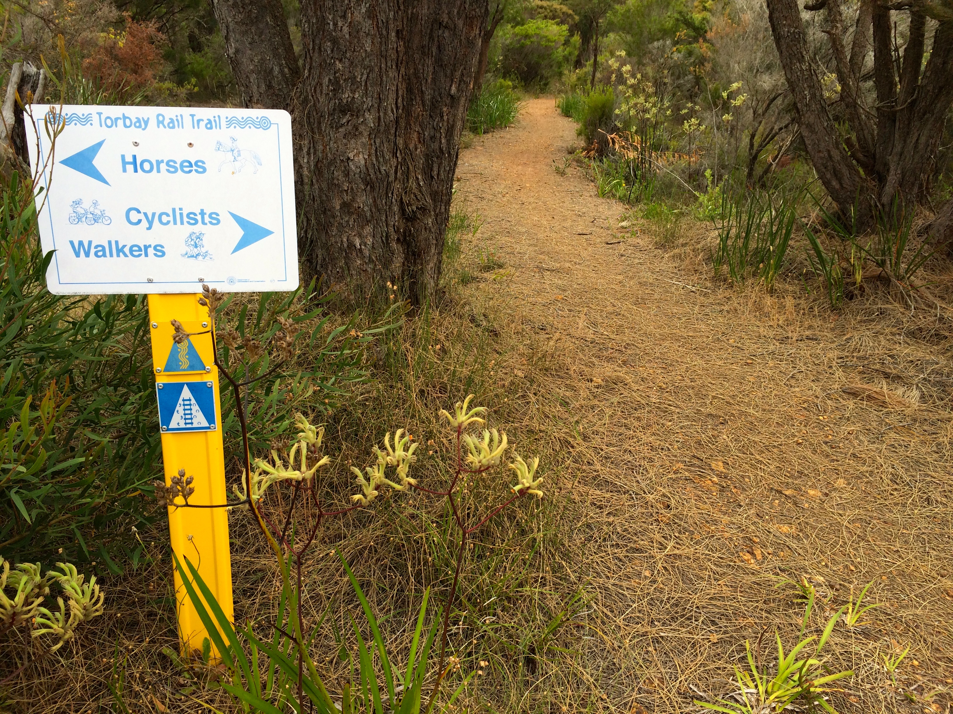 Torbay Rail Trail - easy to understand 