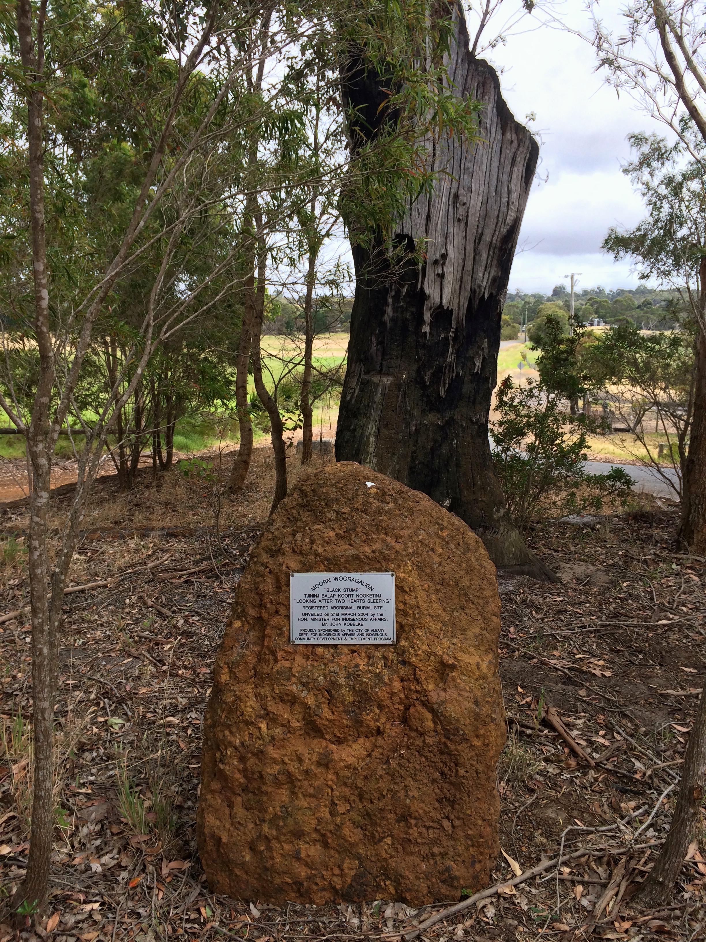 Aboriginal Burial site Robinson Rd