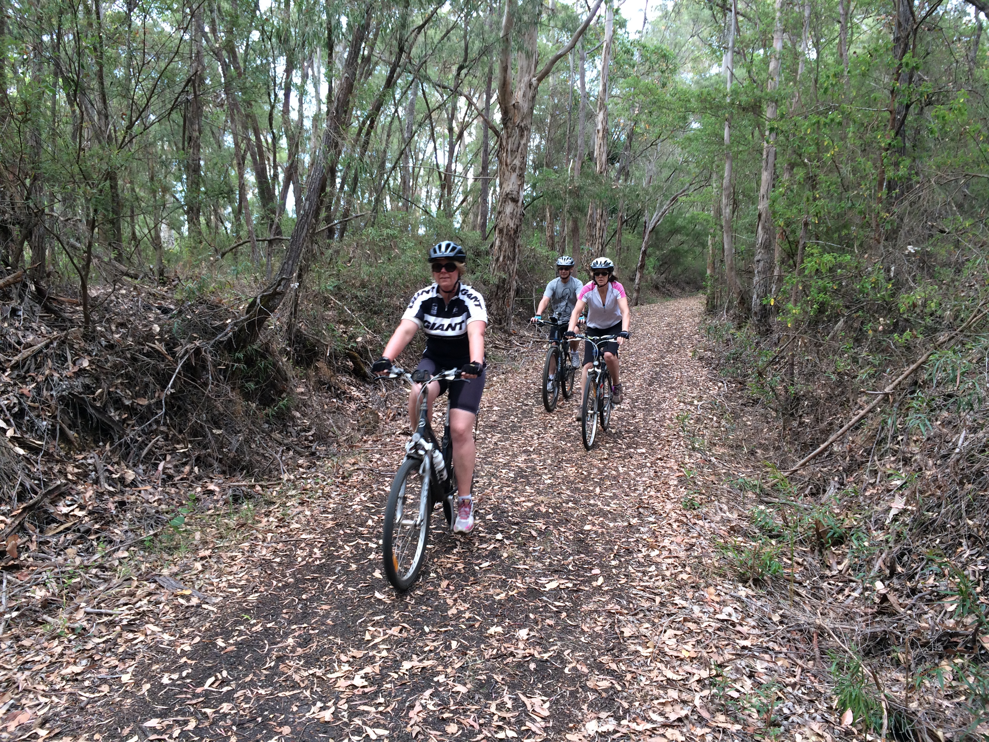 Cutting near Wilson Inlet