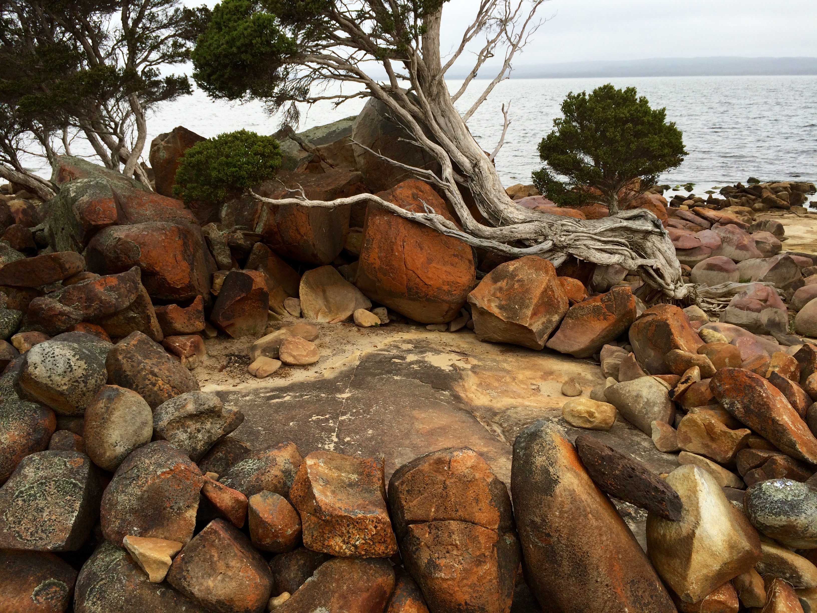 Aboriginal Fish trap, Wilson Inlet