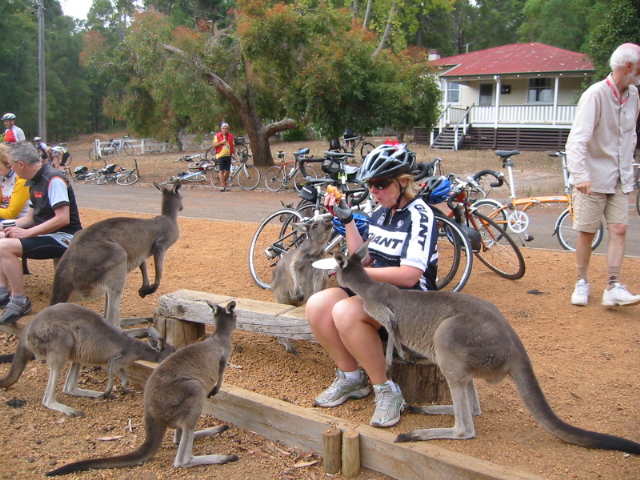Lunchtime at Donnelly Mill