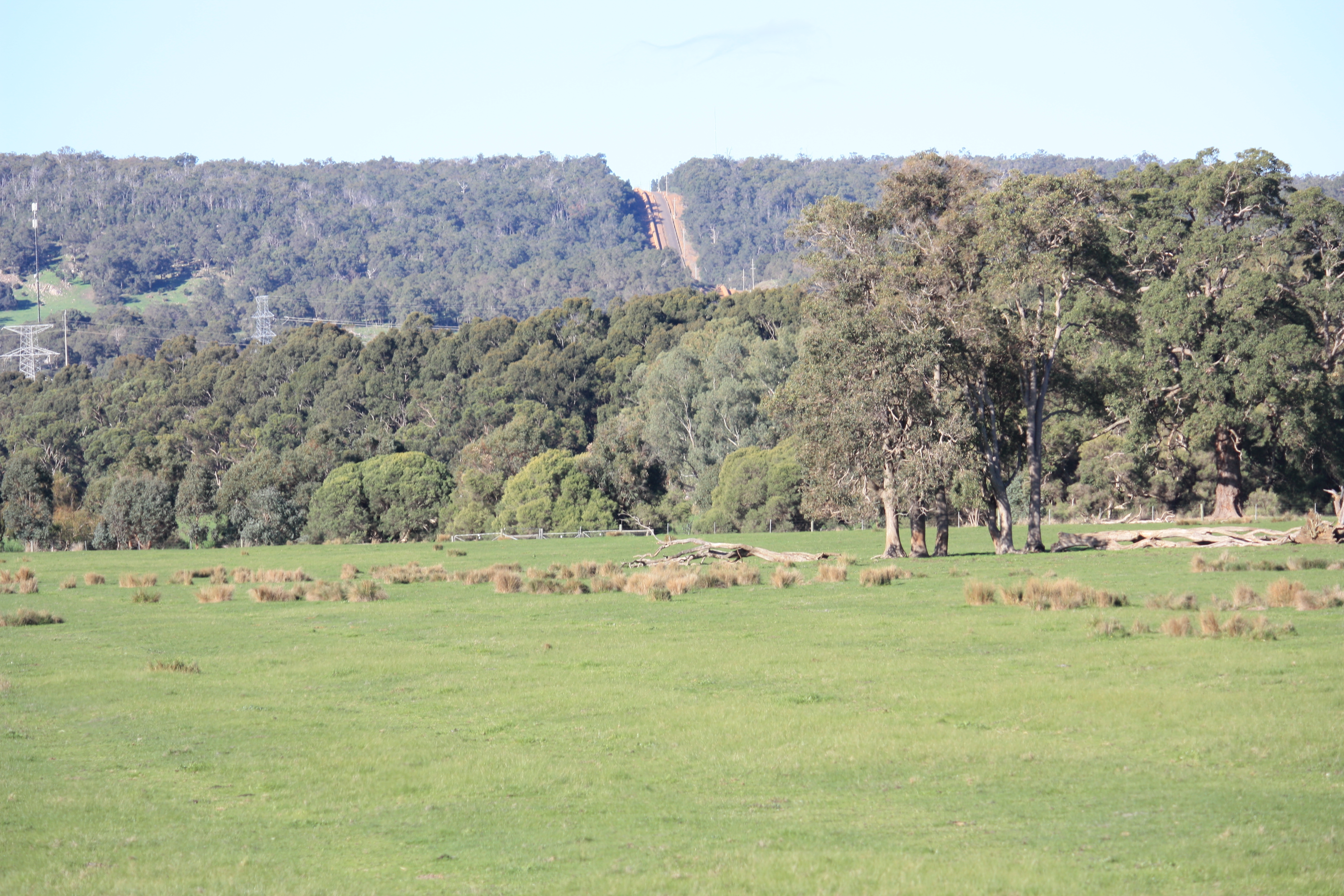 Bauxite conveyor on the Scarp near Wagerup
