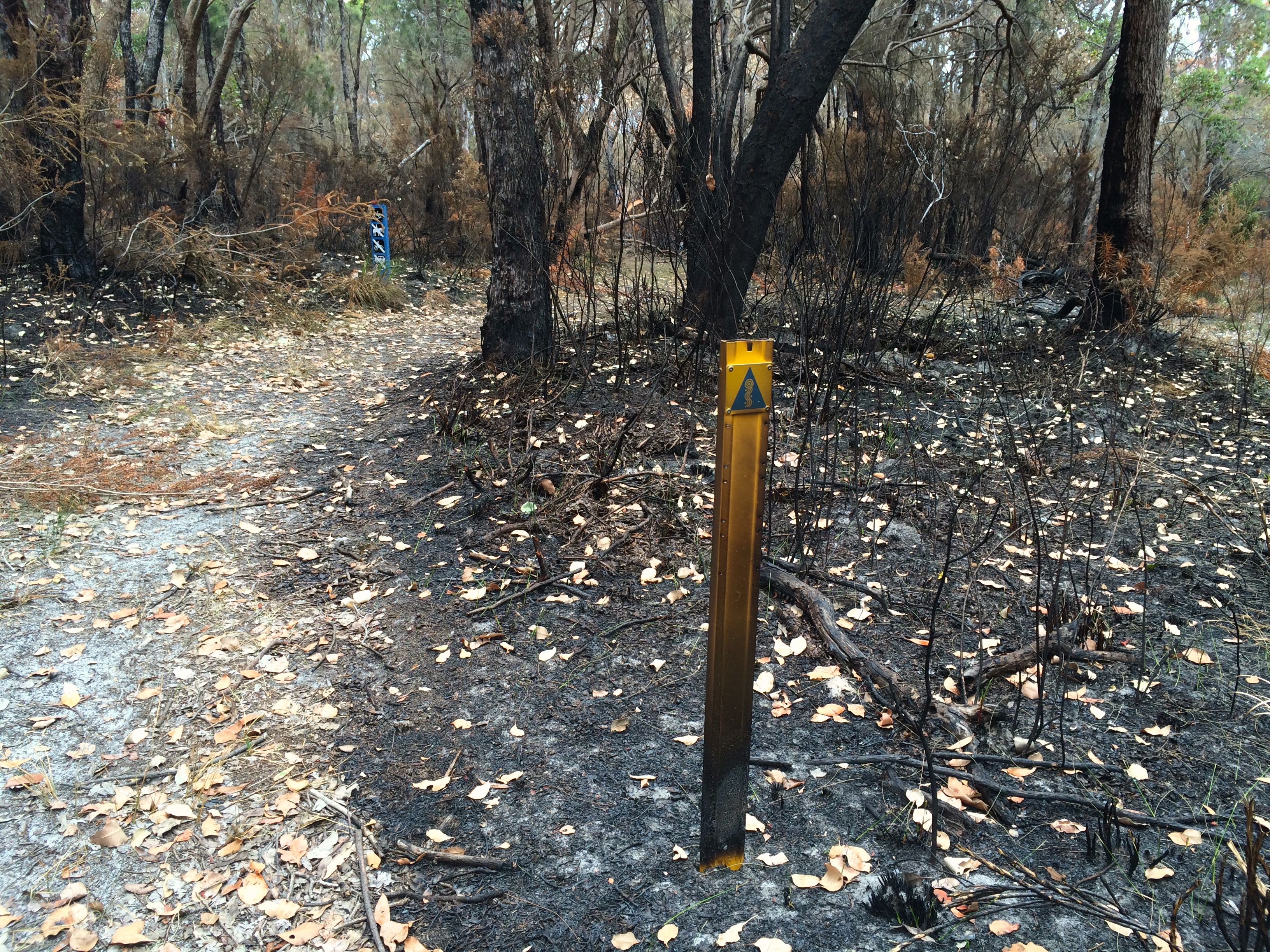 Burnt trail marker near Jinung Hut Map 8