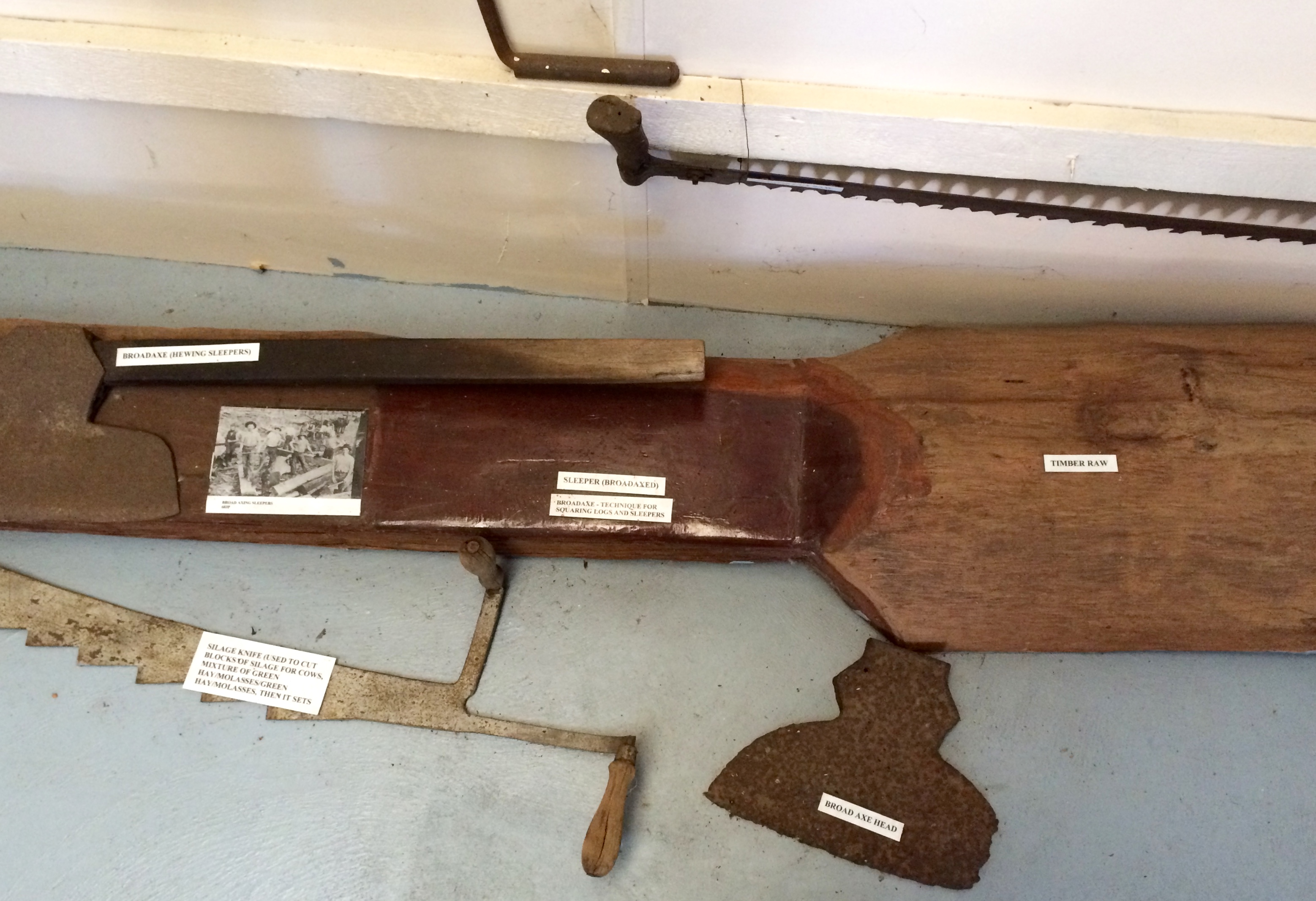 Hewing sleepers from jarrah