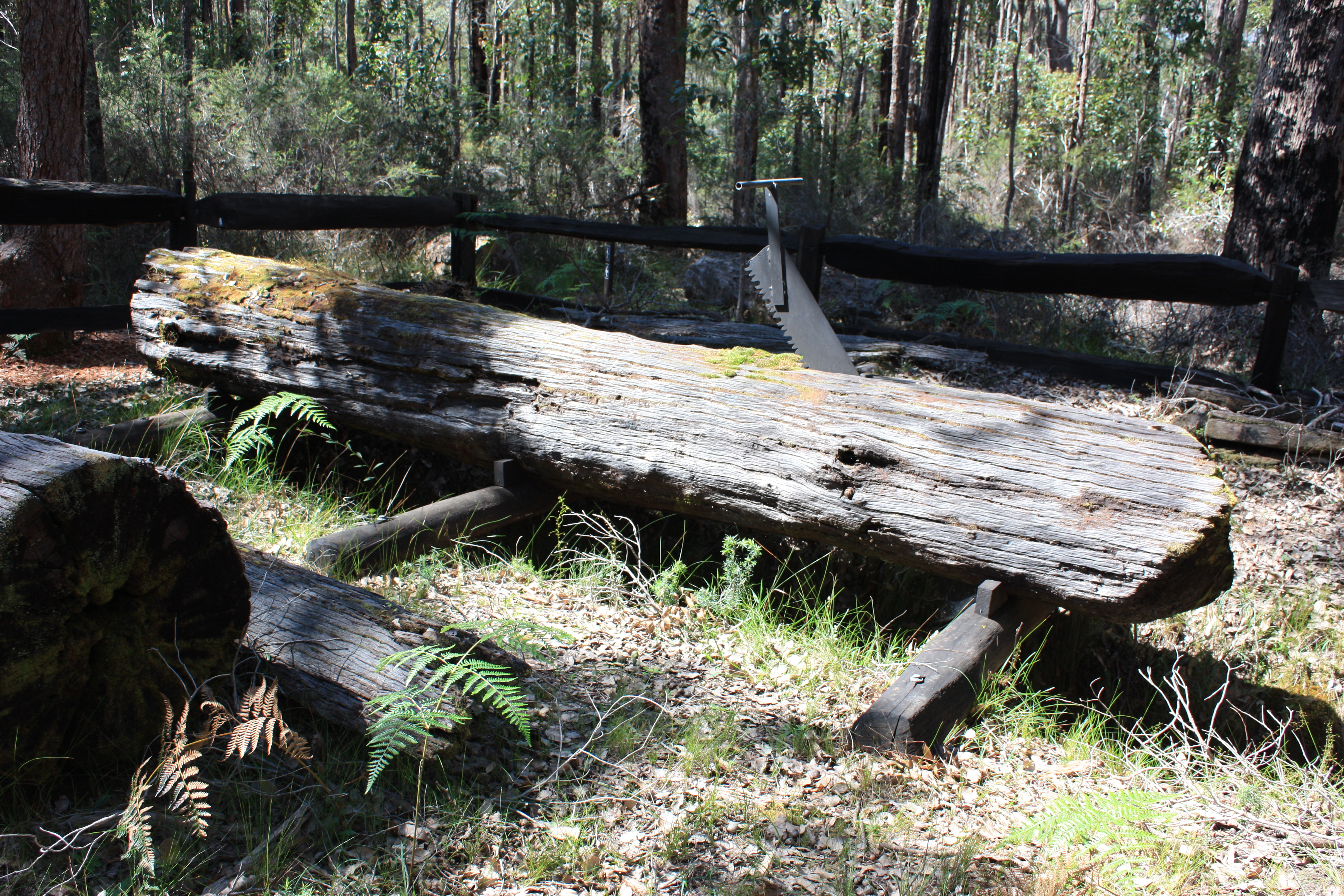 Brockman Saw Pit near Northcliffe