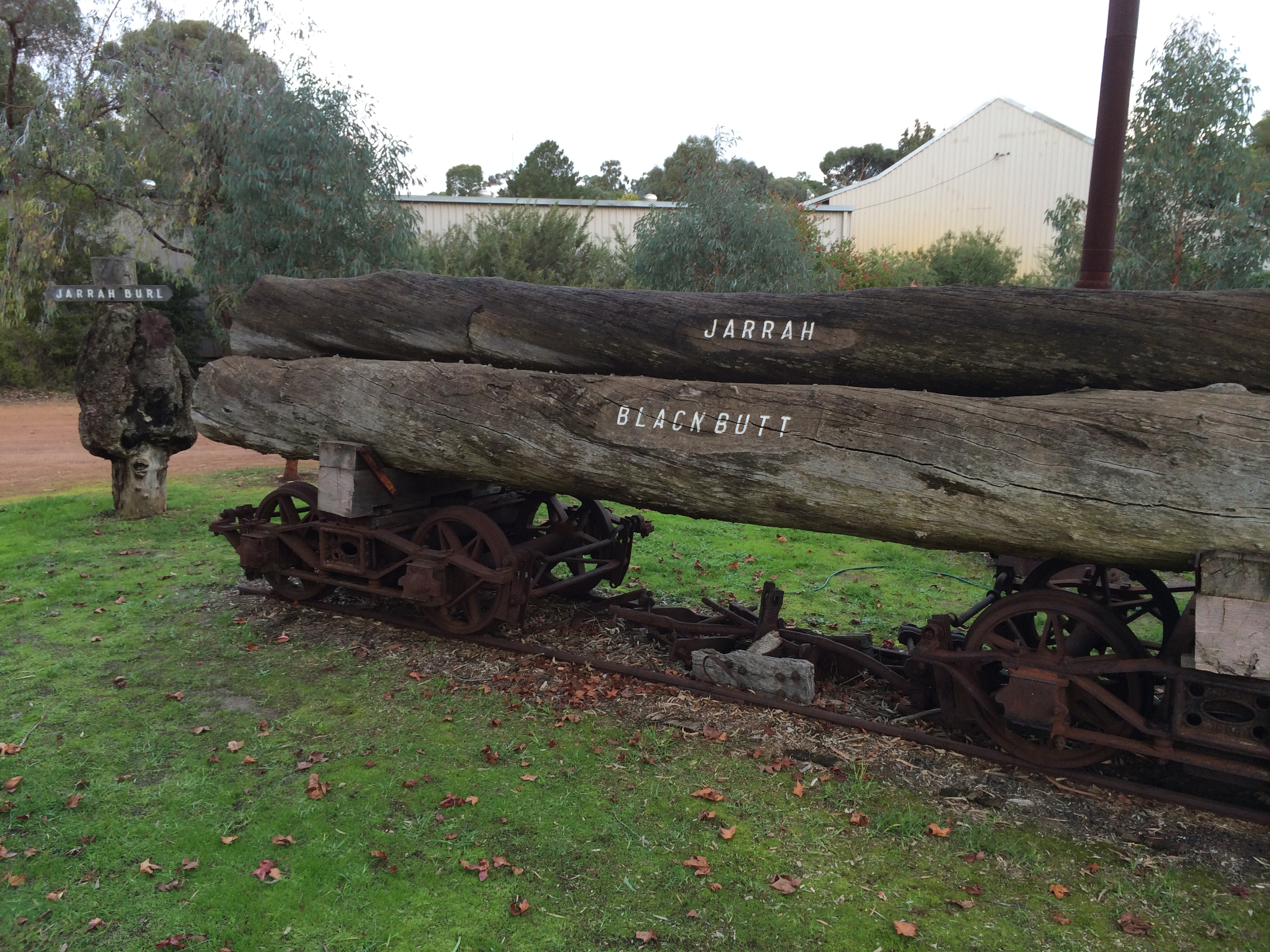 Logs, Donnybrook