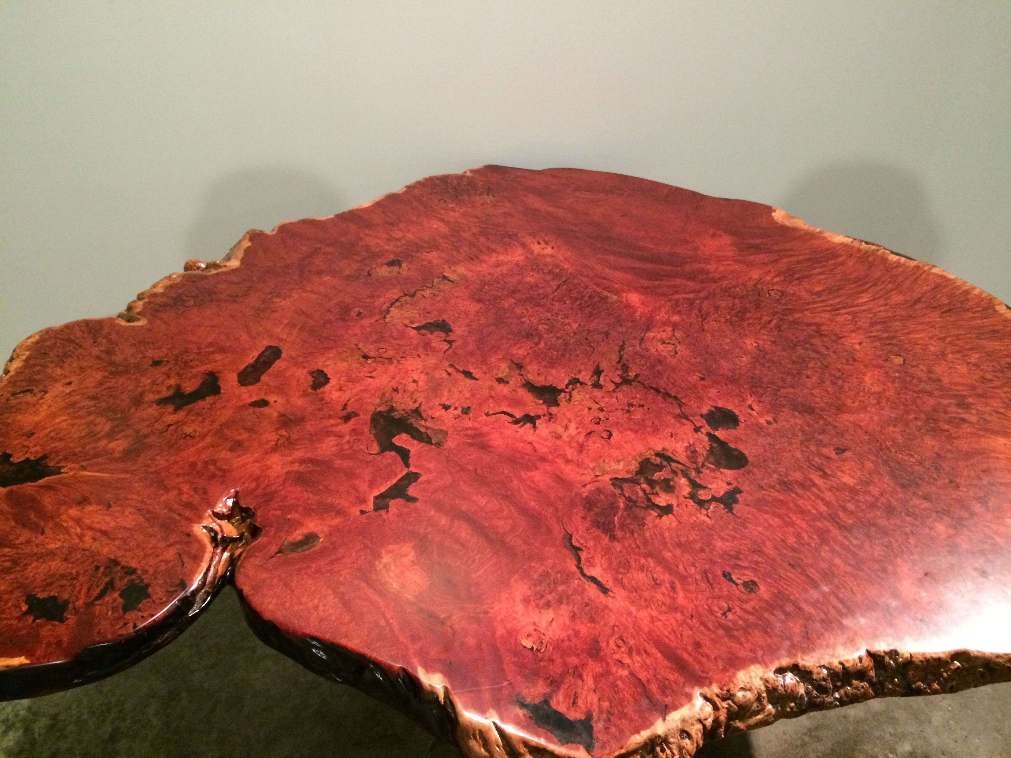 Polished Jarrah burl