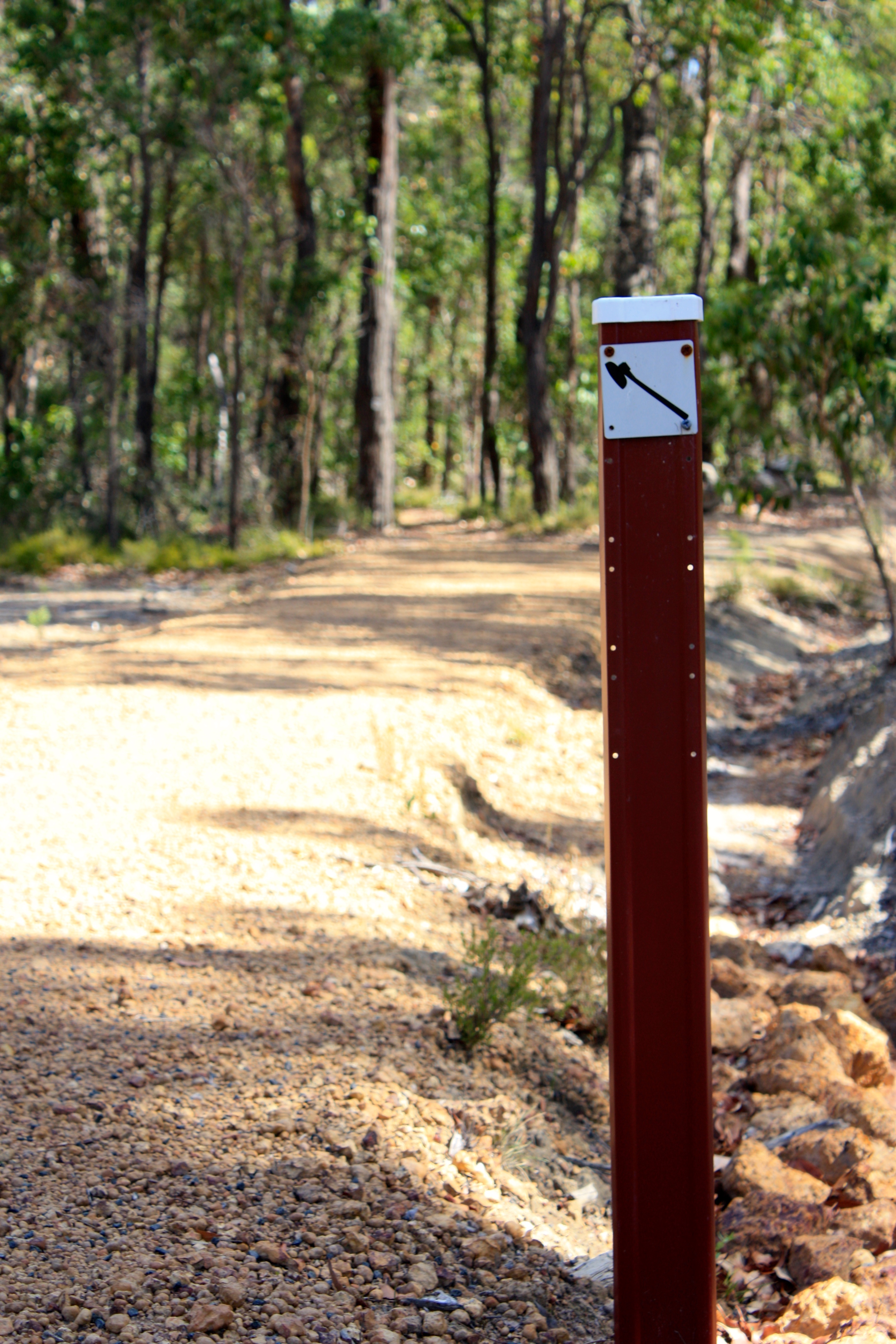 Old Timberline Trail marker