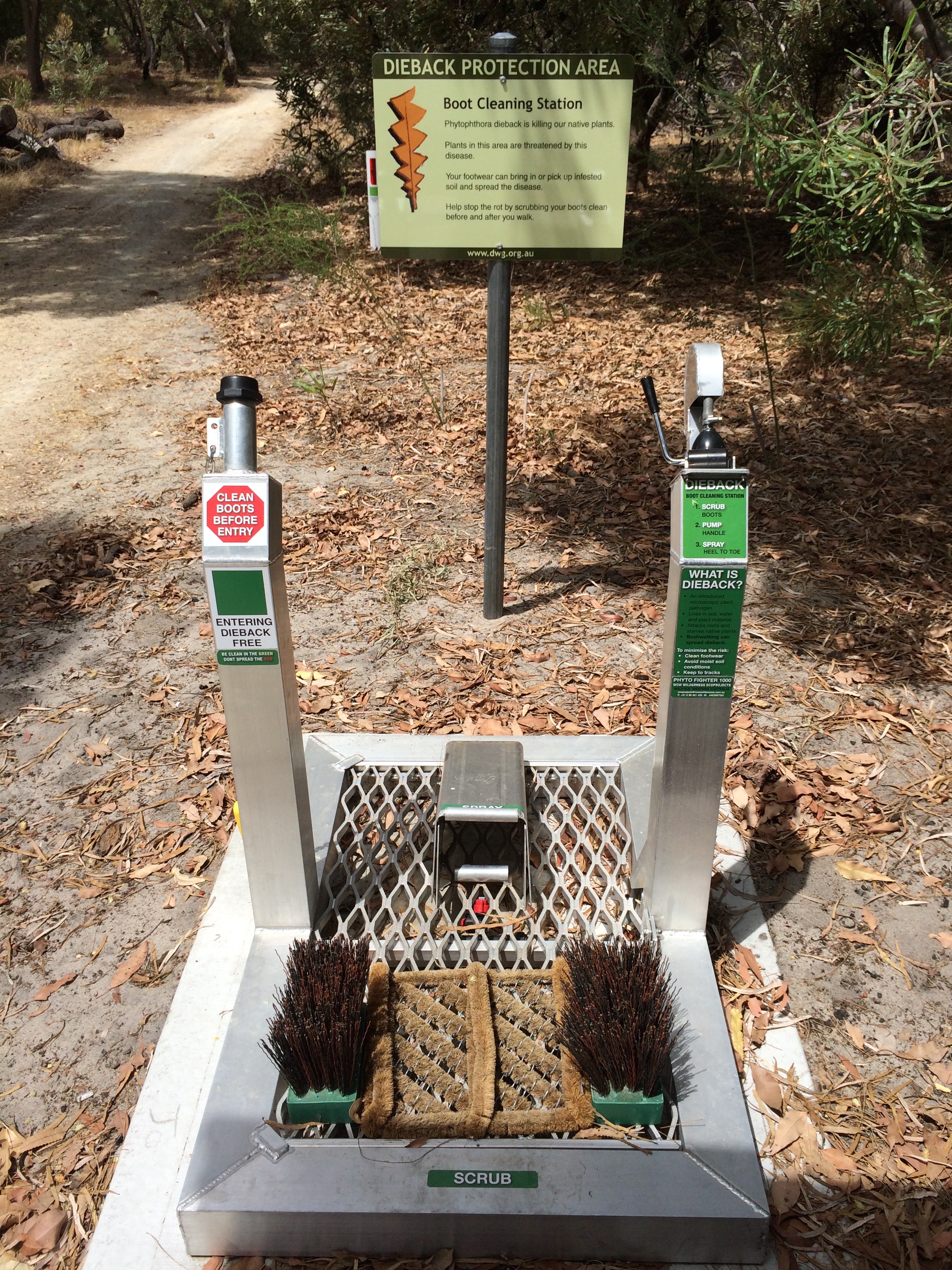 Dieback boot cleaning station