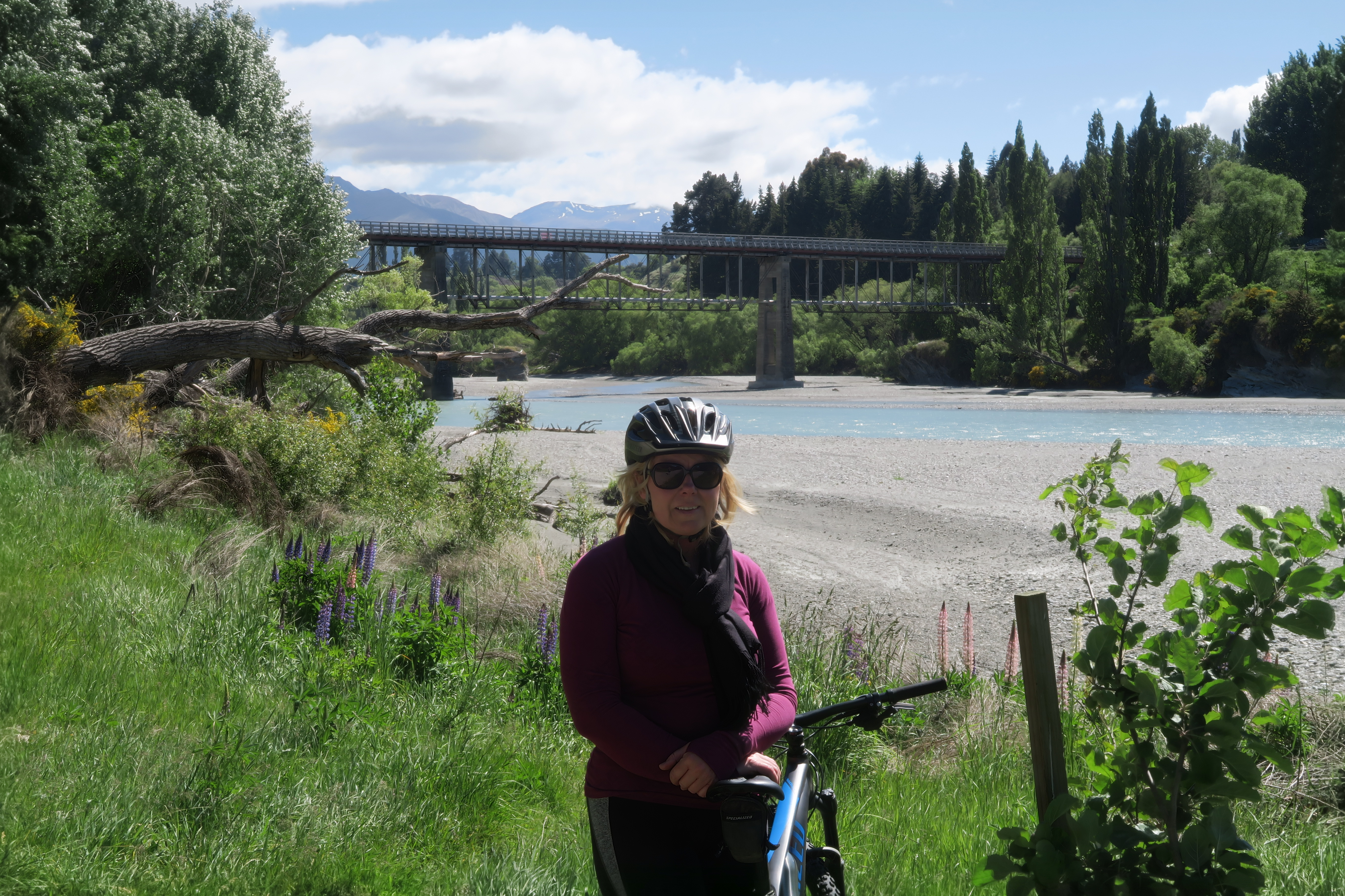 Lower Shotover Bridge