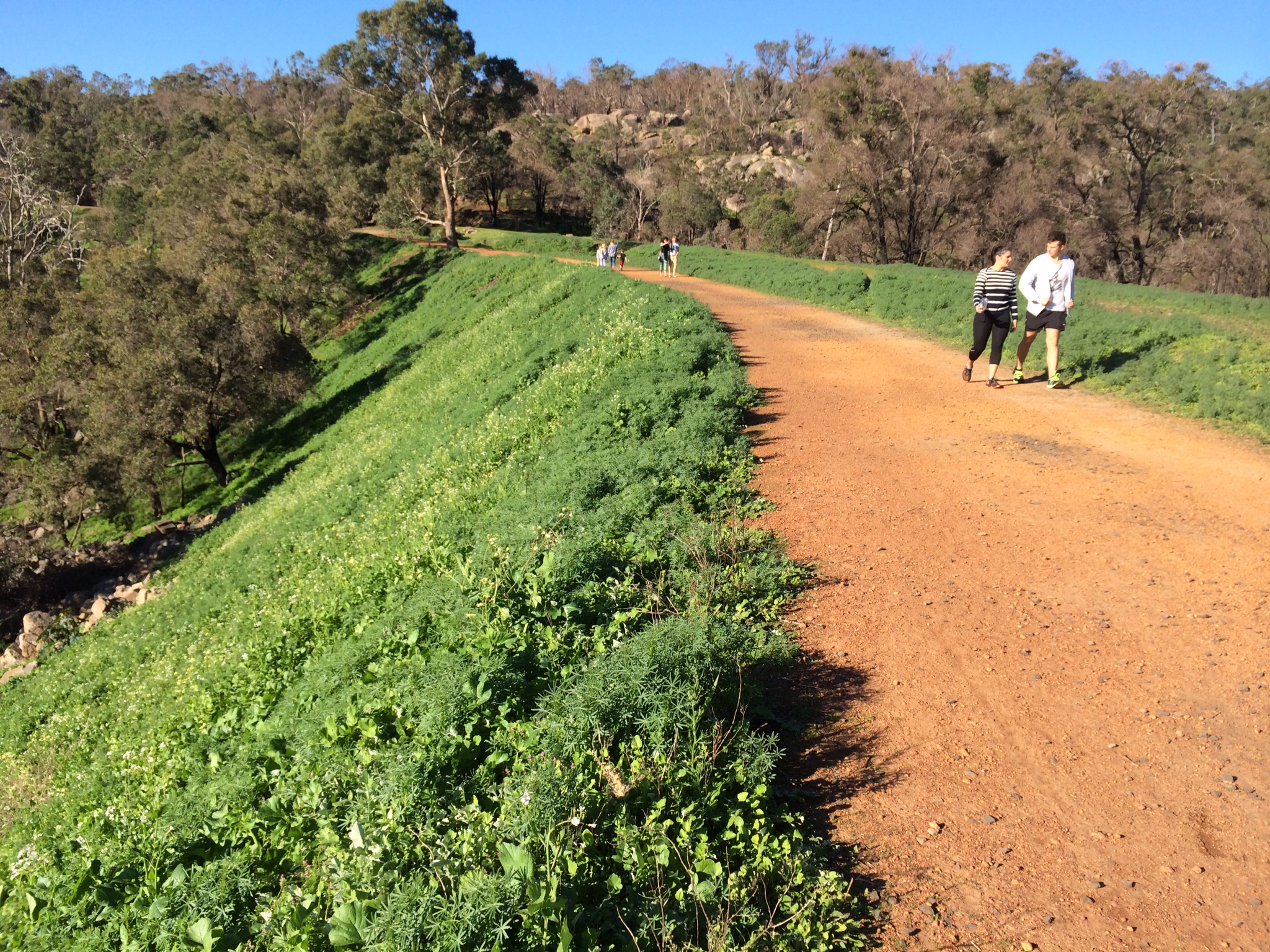 Rail Trail embankment in JFNP