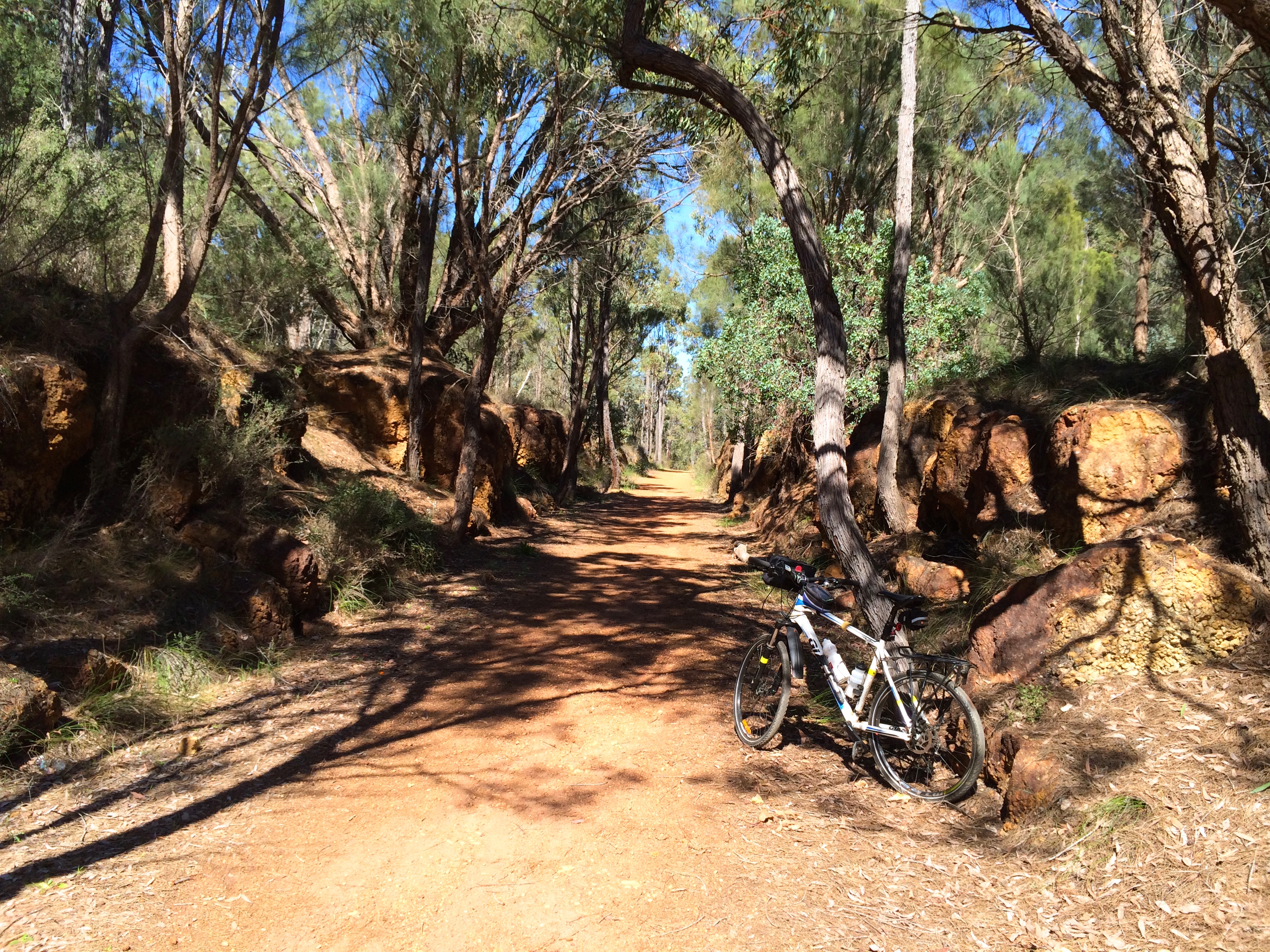Cutting near Sawyers Valley turn off
