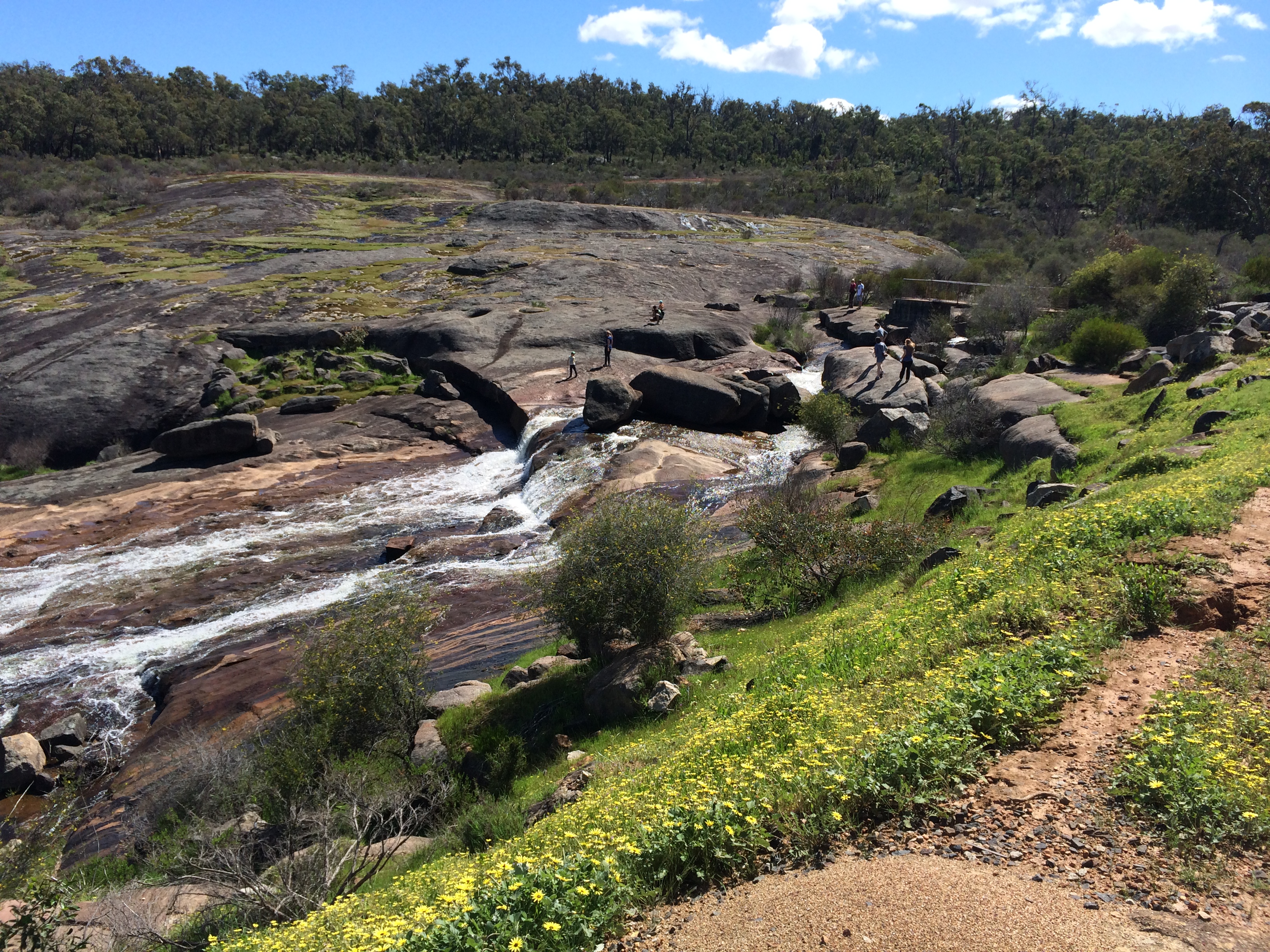 Hovea Falls