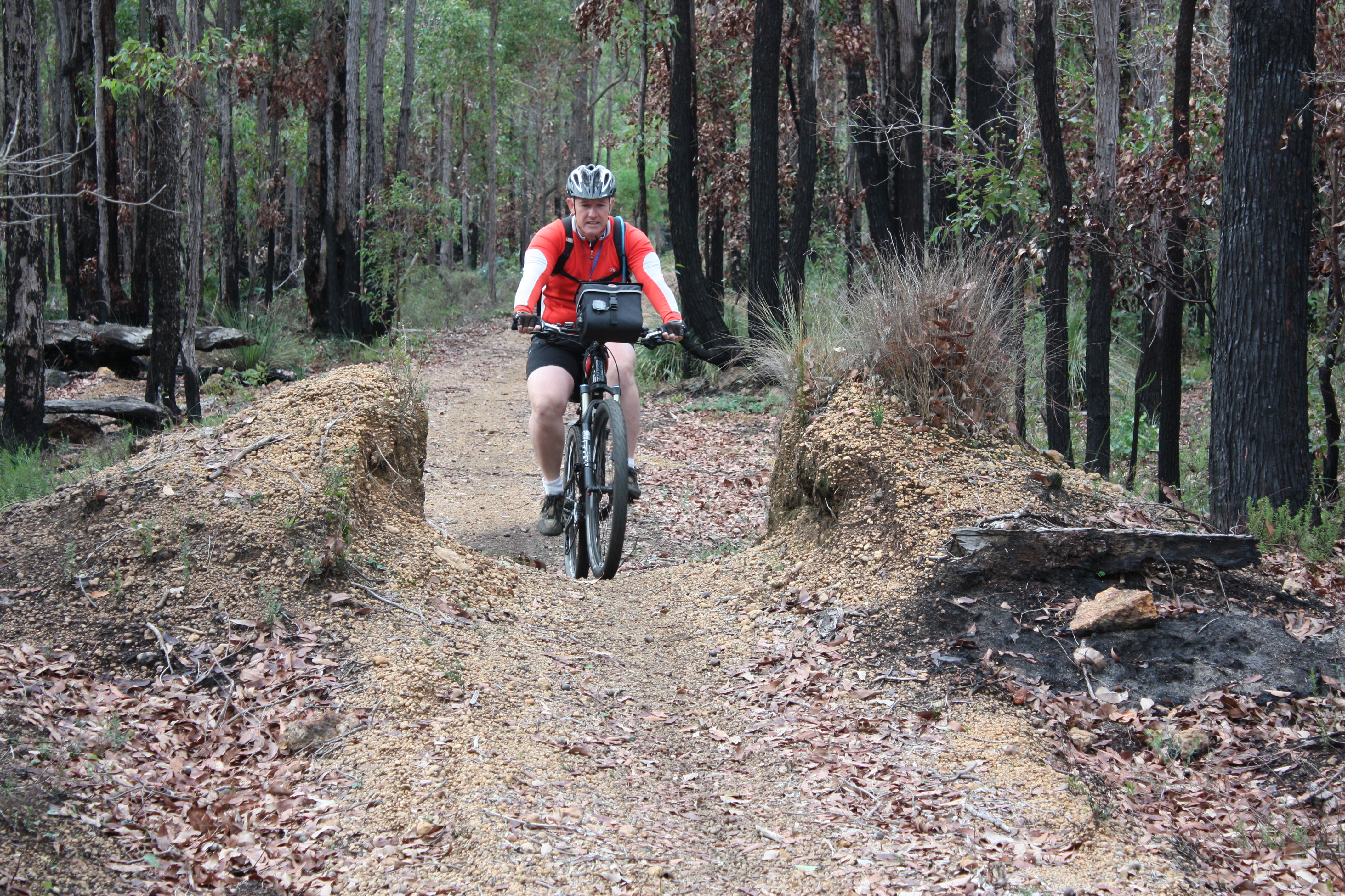 Near Mornington Rd, Collie