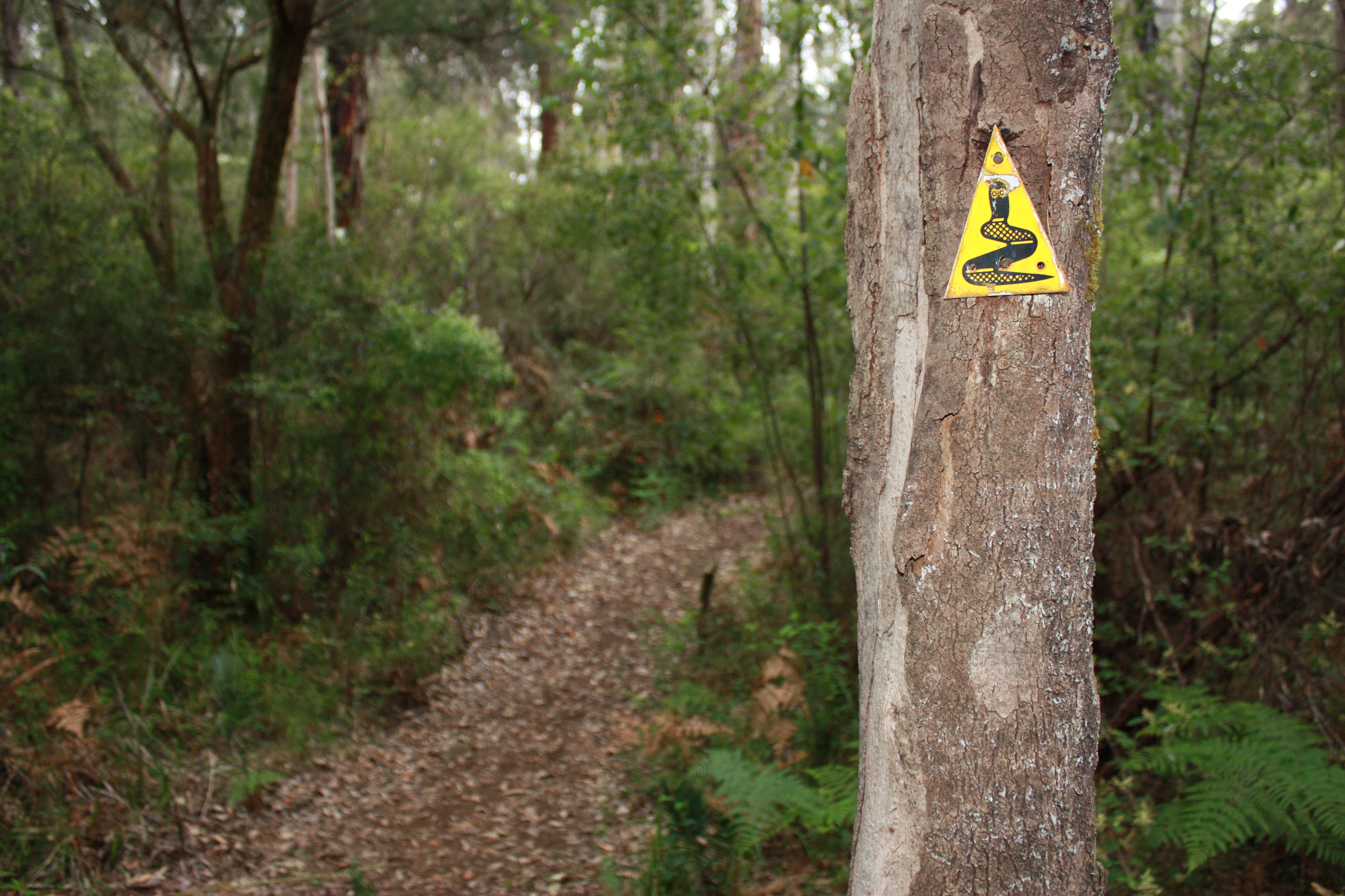 Bibbulmun Track marker
