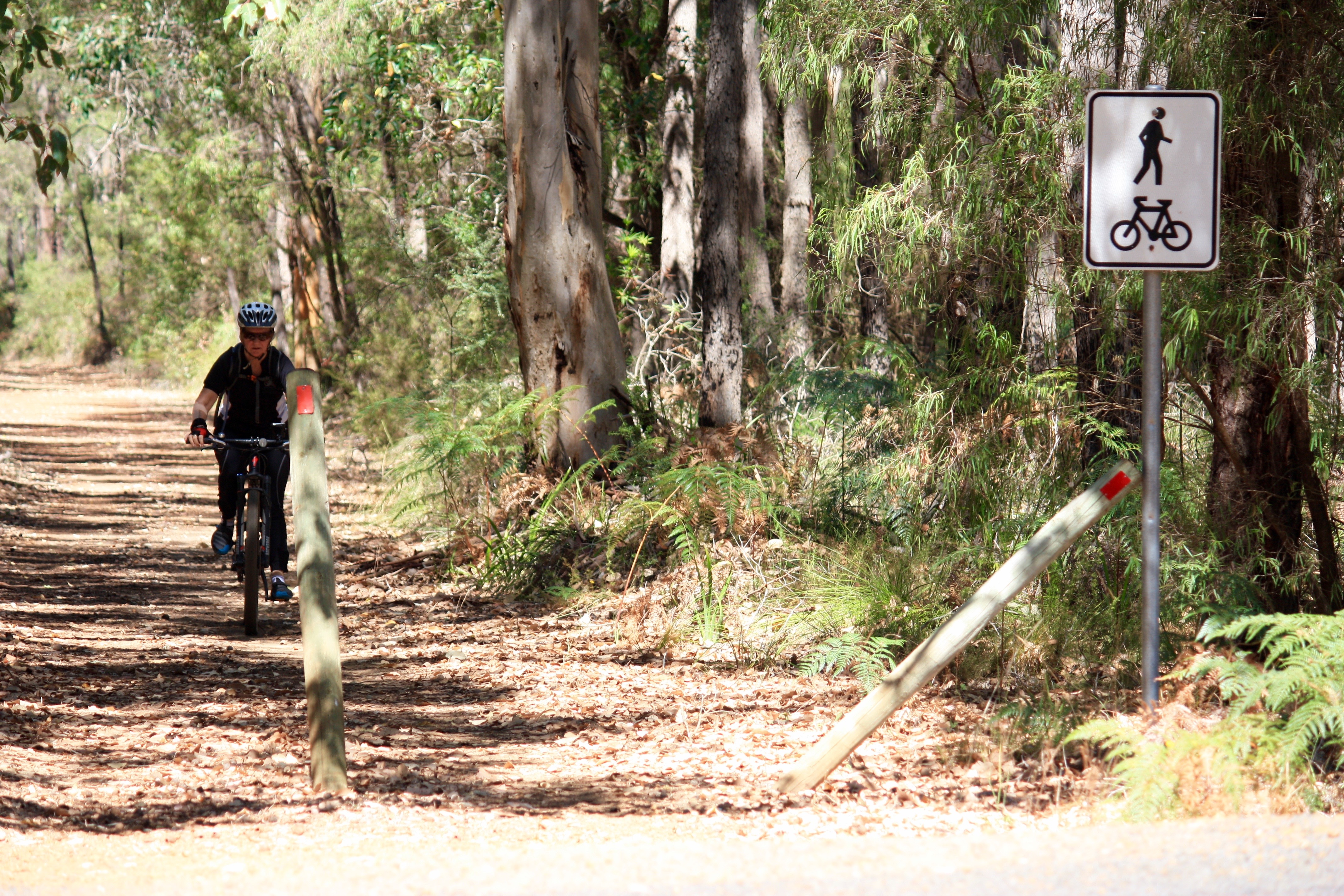 Old Form north of Margaret River