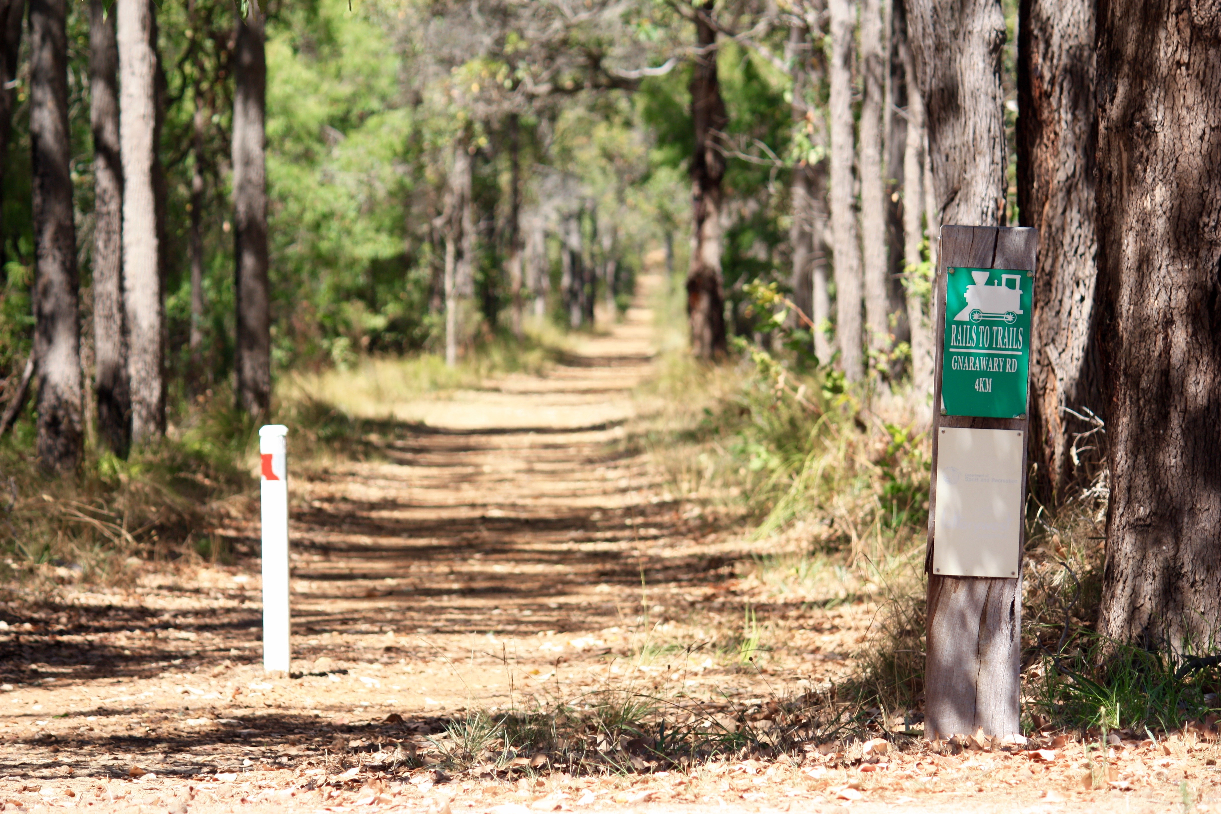 Old form on Boodjidup Rd,  Margaret River 